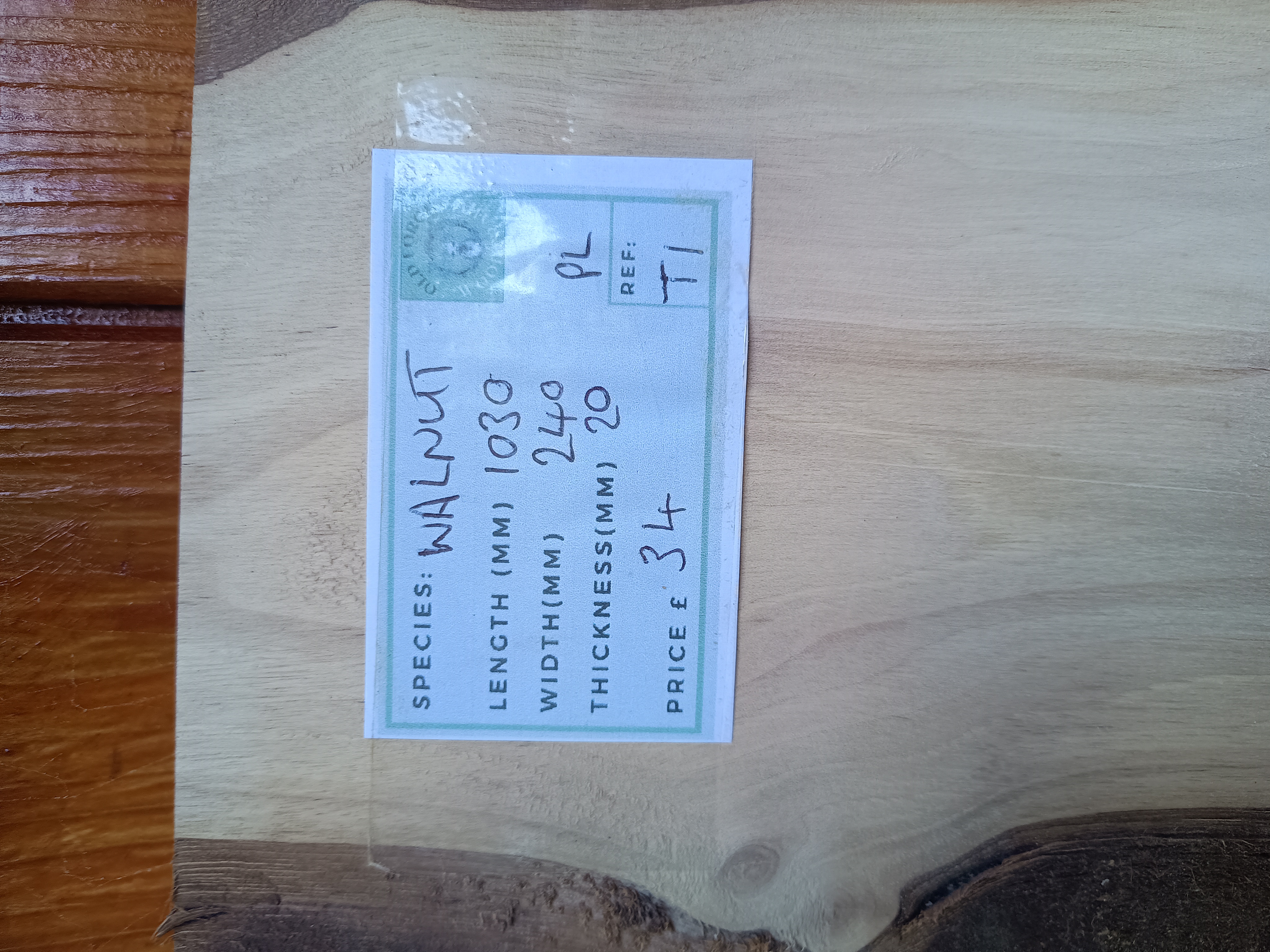 Rare English Walnut - Batch T - Live Edge