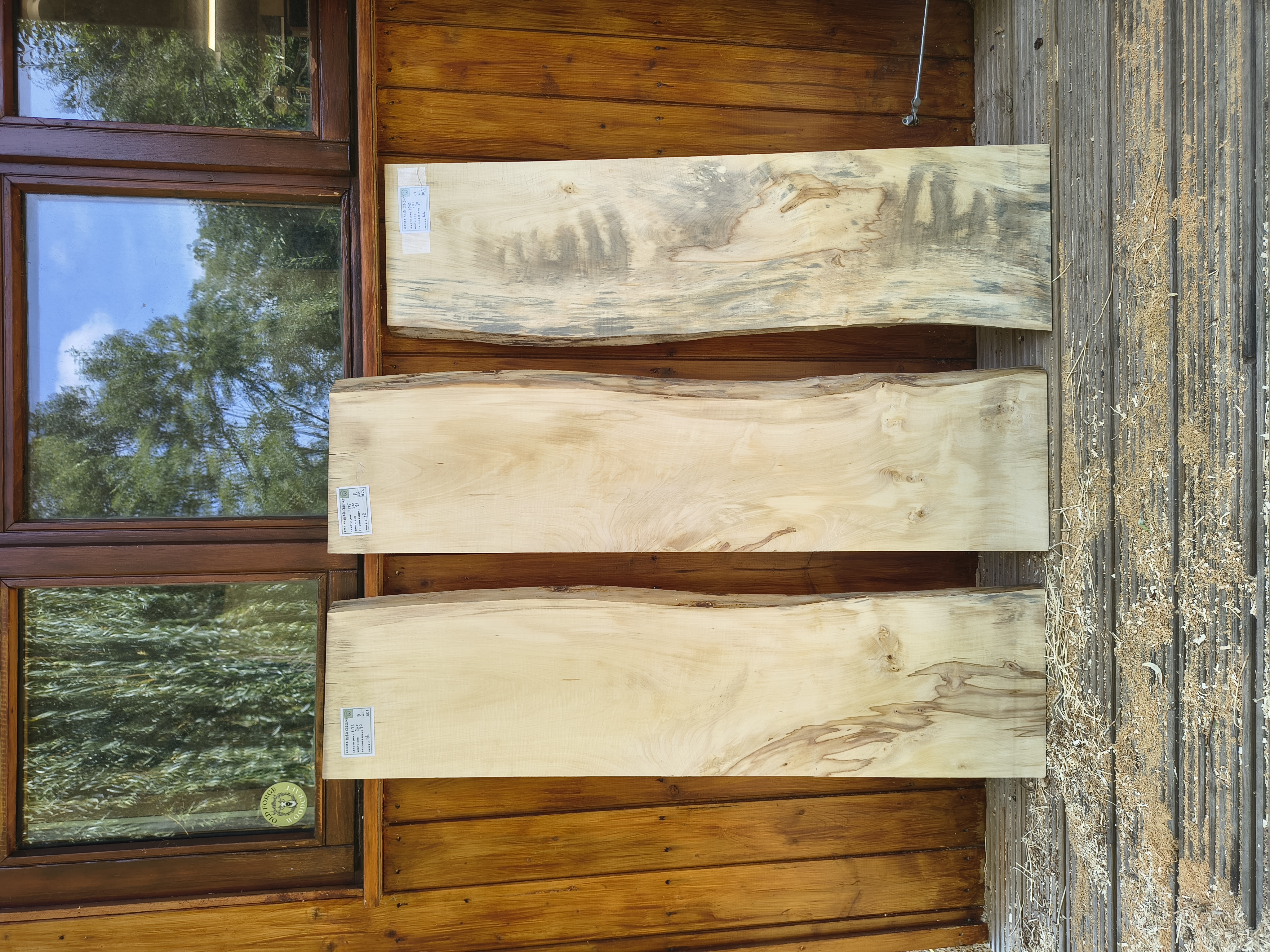 English Horse Chestnut - Batch HC - Air Dried Live Edge Timber Board / Wood / Shelf - Planed