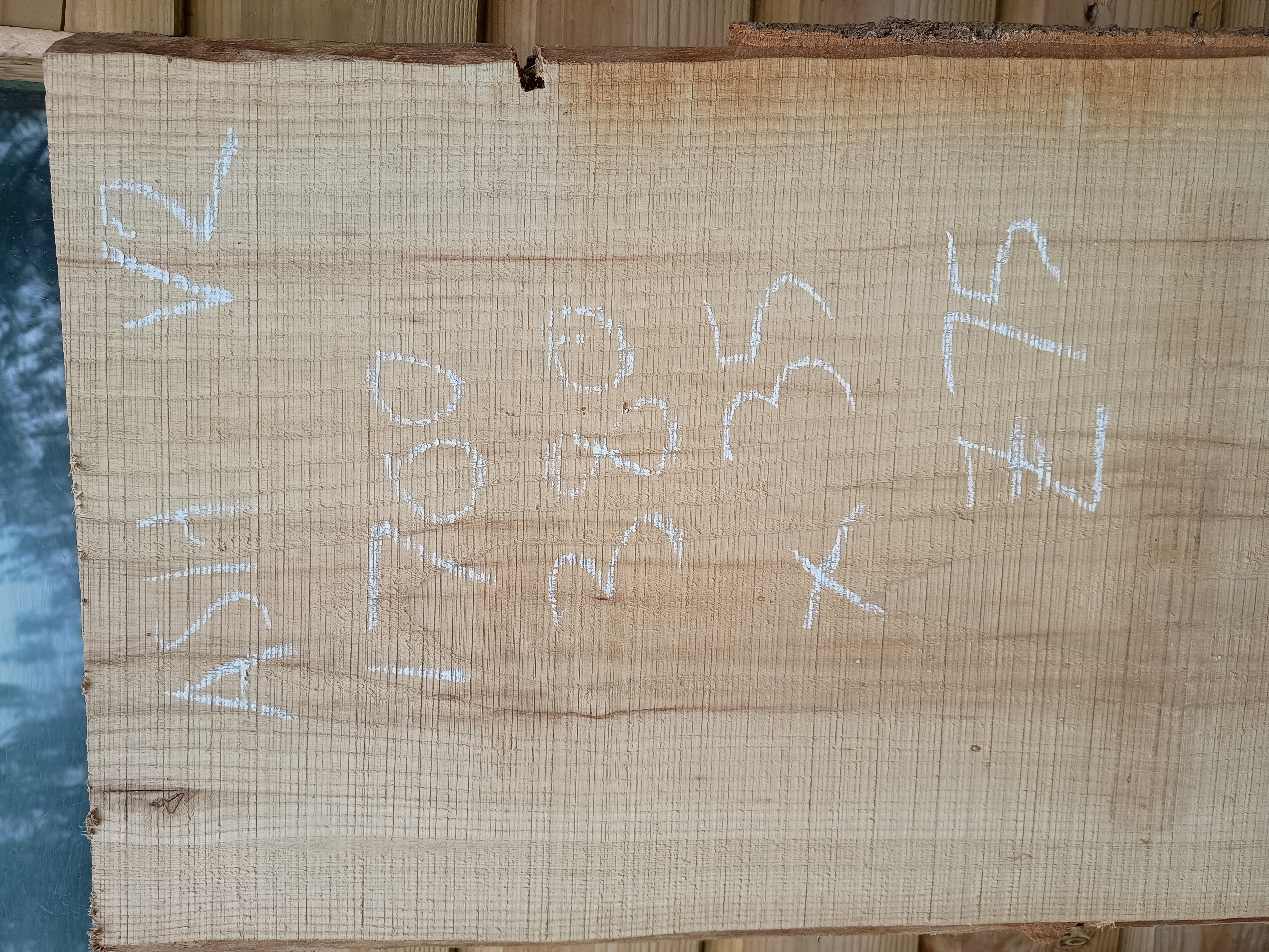 Ash Live / Waney Edge Wood Boards - Batch V
