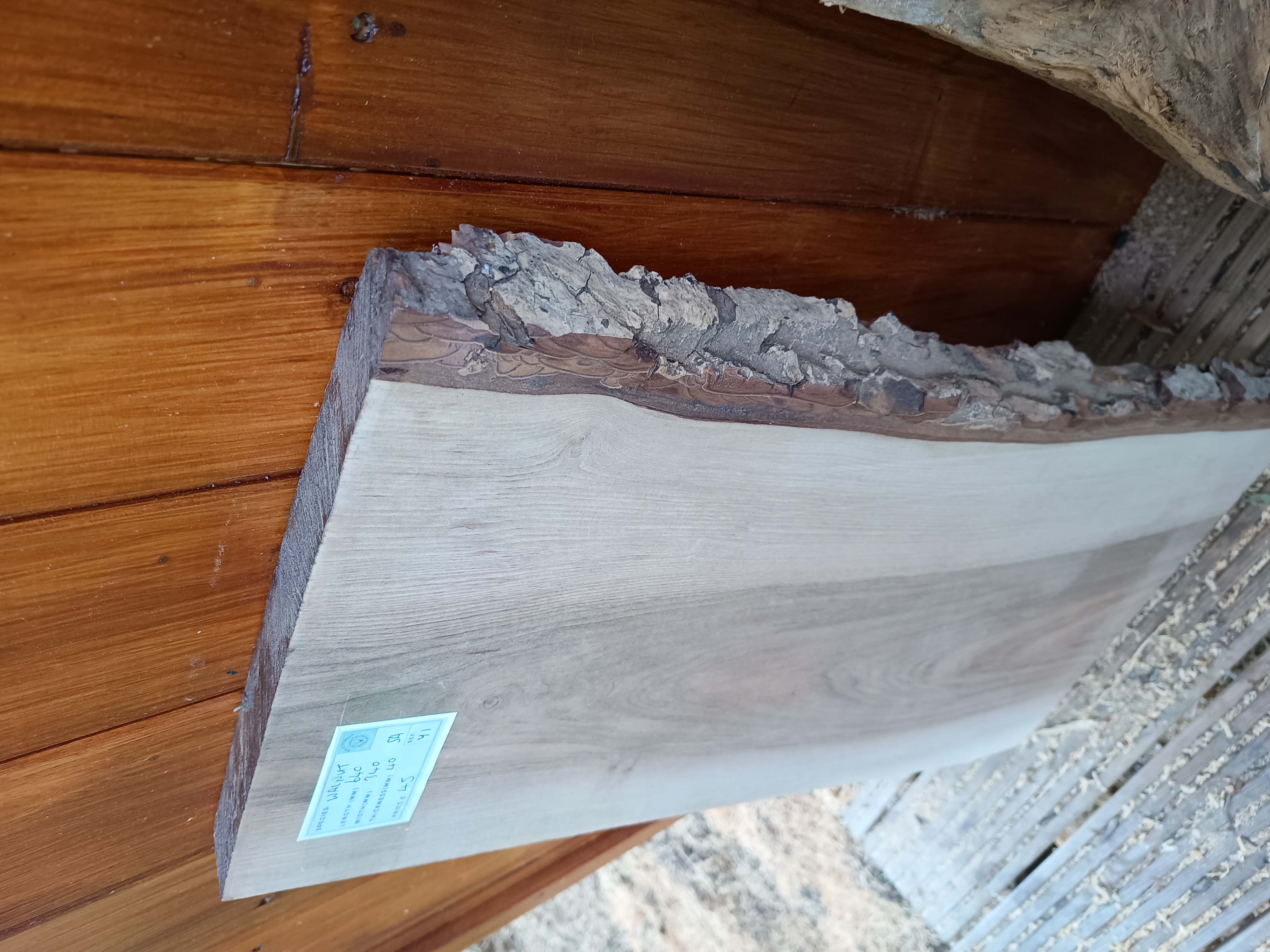 Rare English Walnut - Batch T - Live Edge