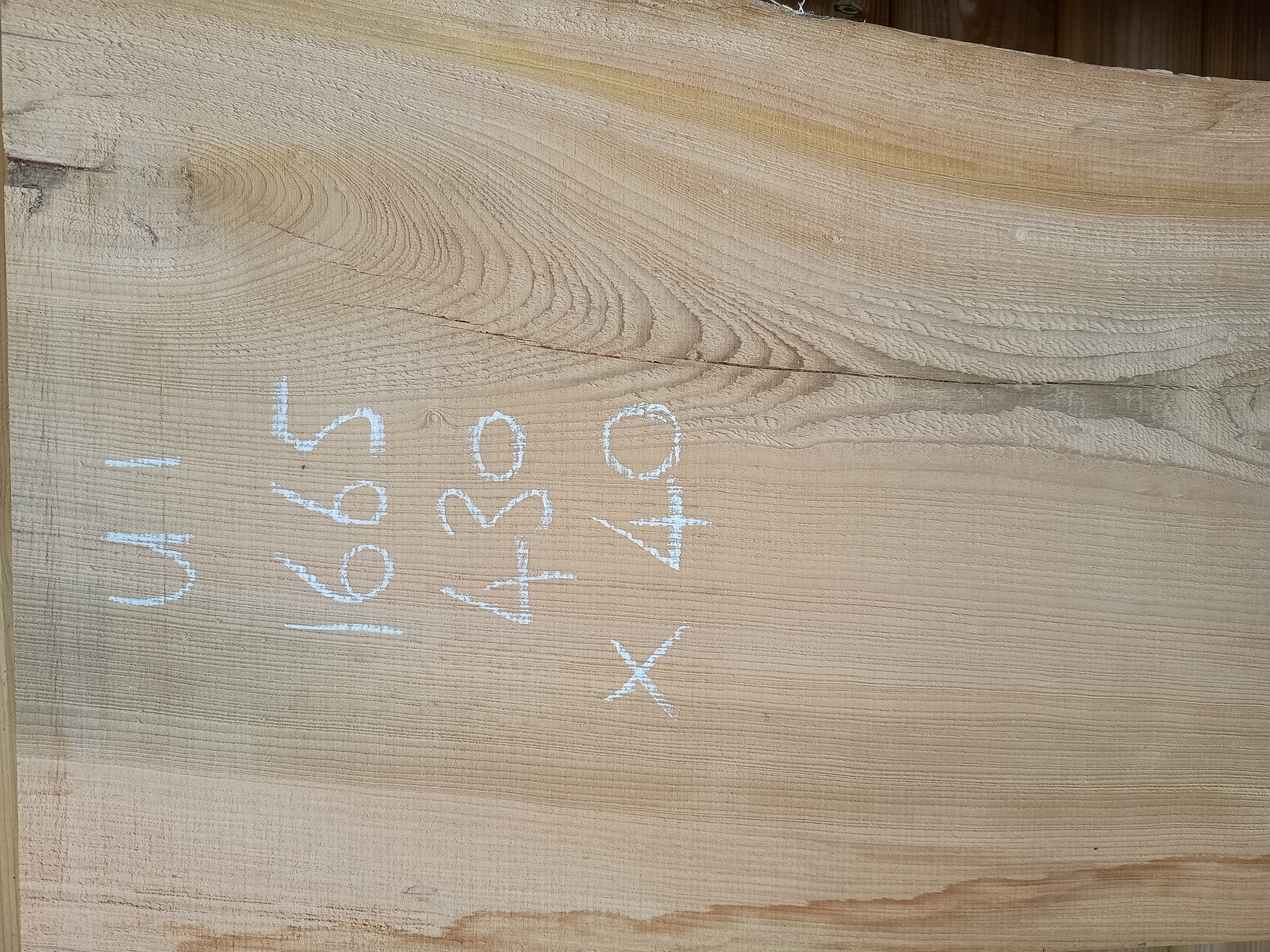 Cedar of Lebanon Live / Waney Edge Wood Boards - Batch U