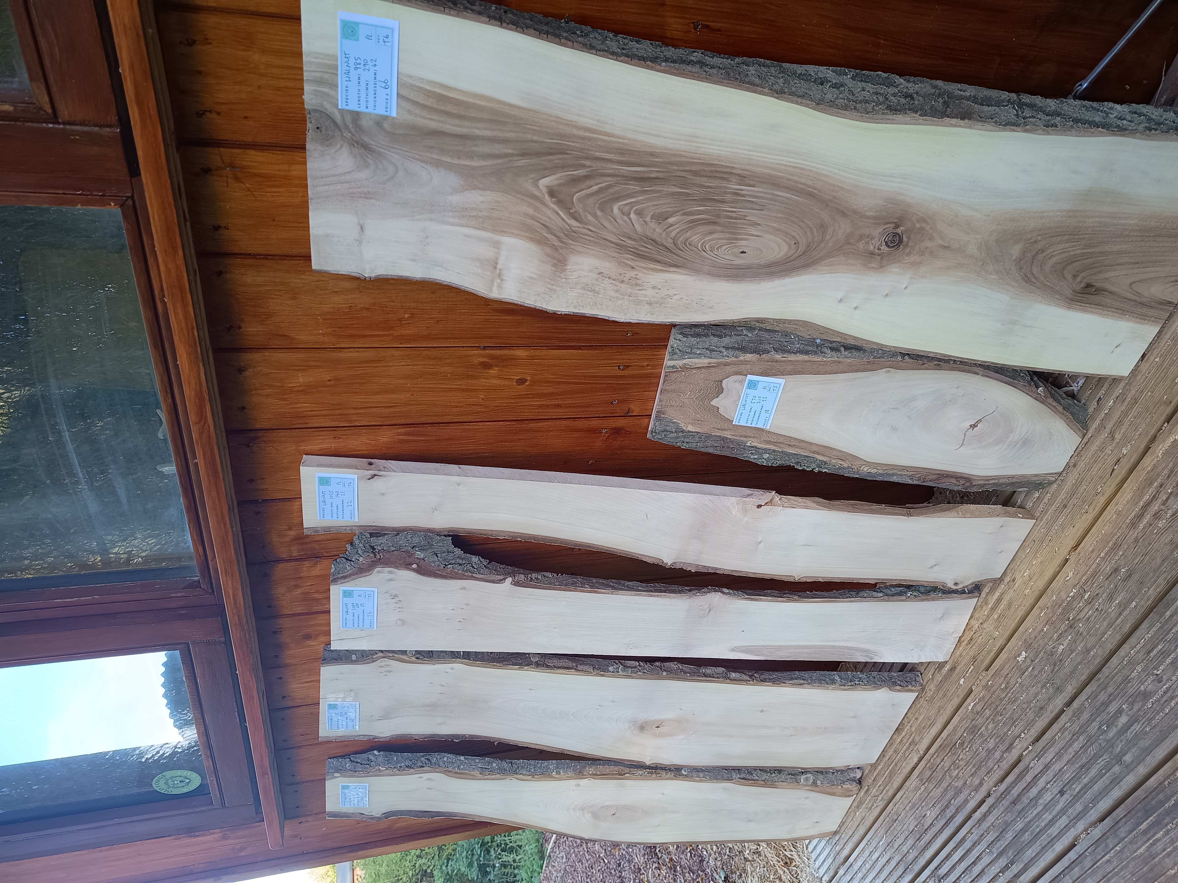 Rare English Walnut - Batch T - Live Edge