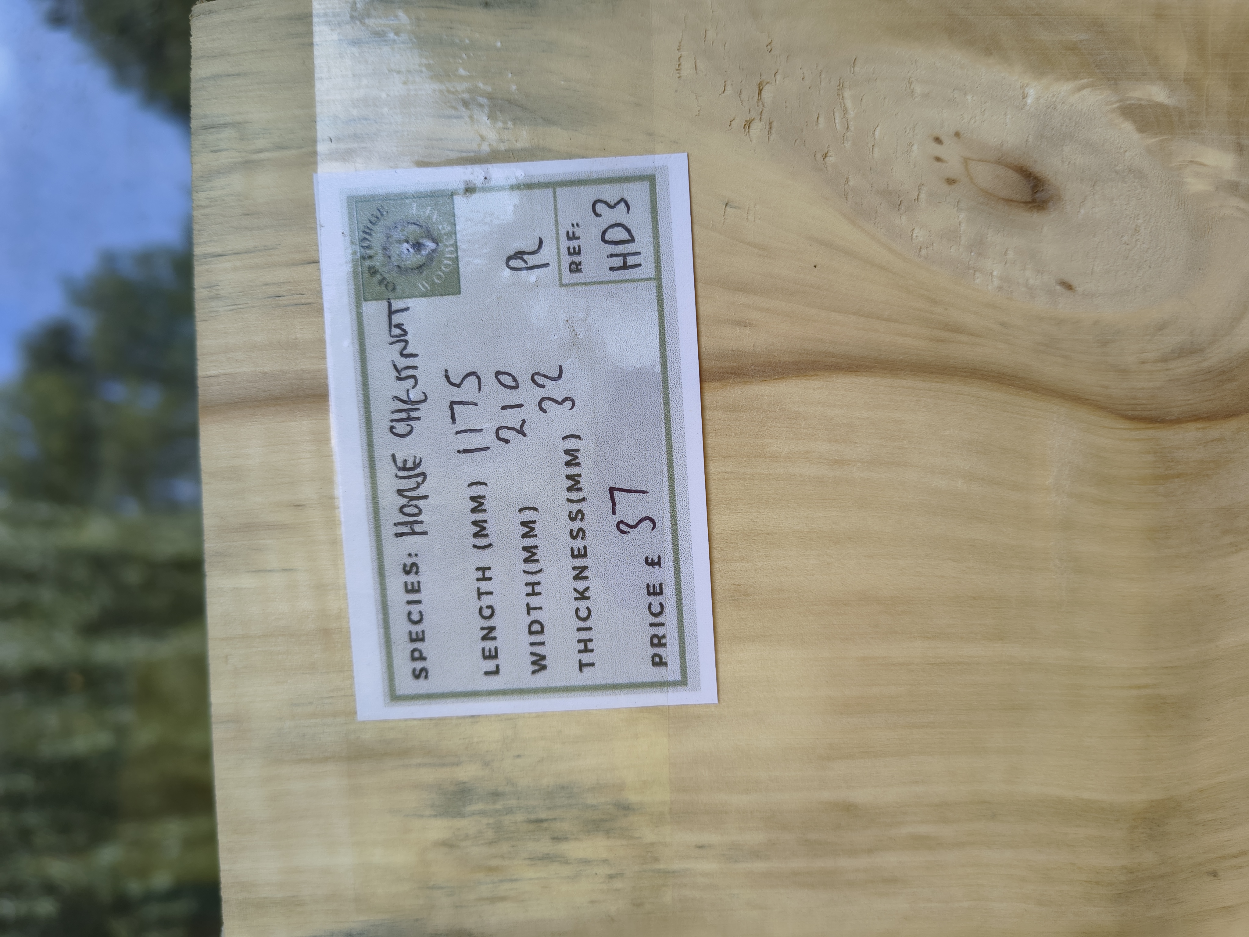 English Horse Chestnut - Batch HD - Air Dried Live Edge Timber Board / Wood / Shelf -  Planed