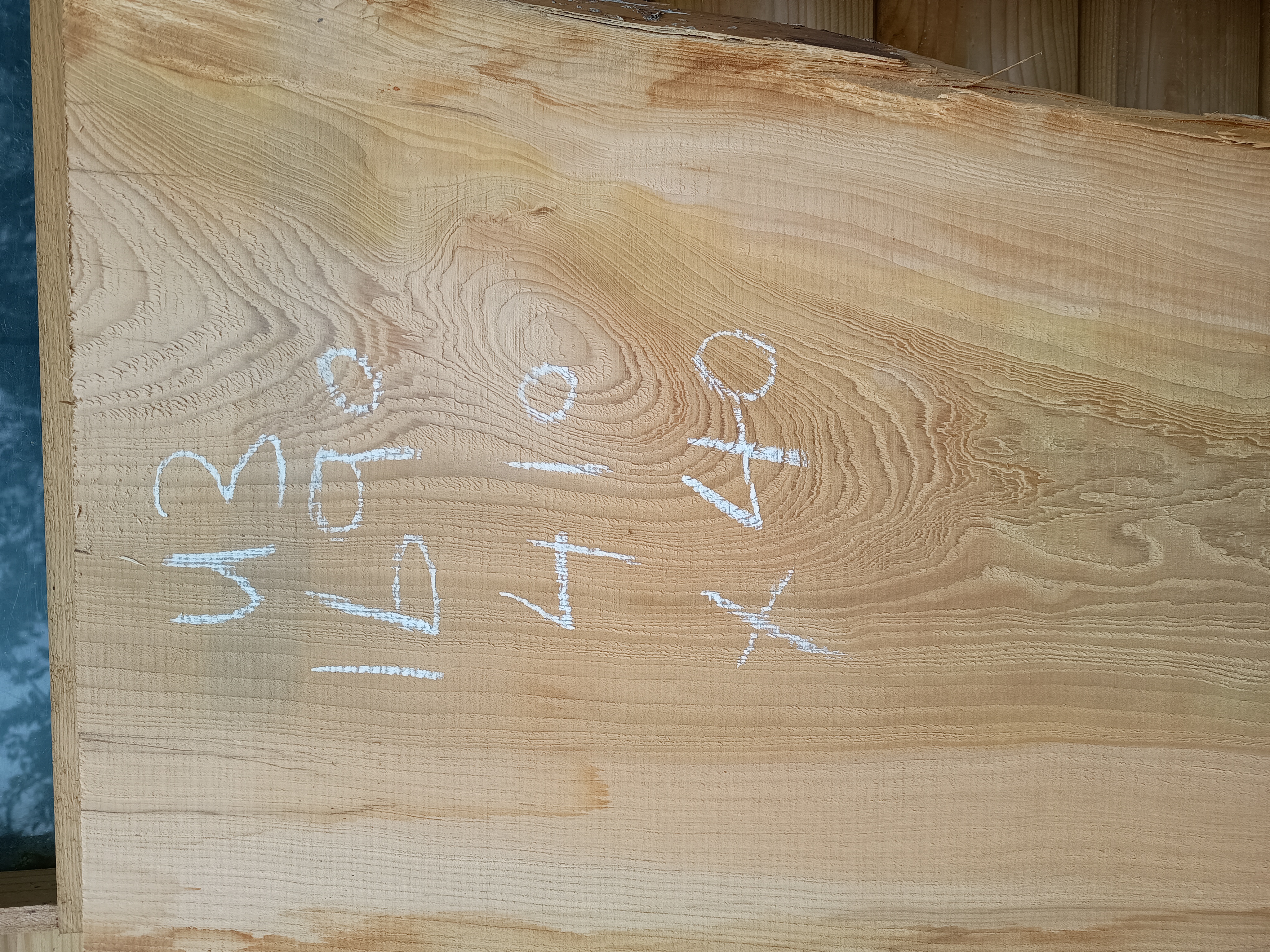 Cedar of Lebanon Live / Waney Edge Wood Boards - Batch U