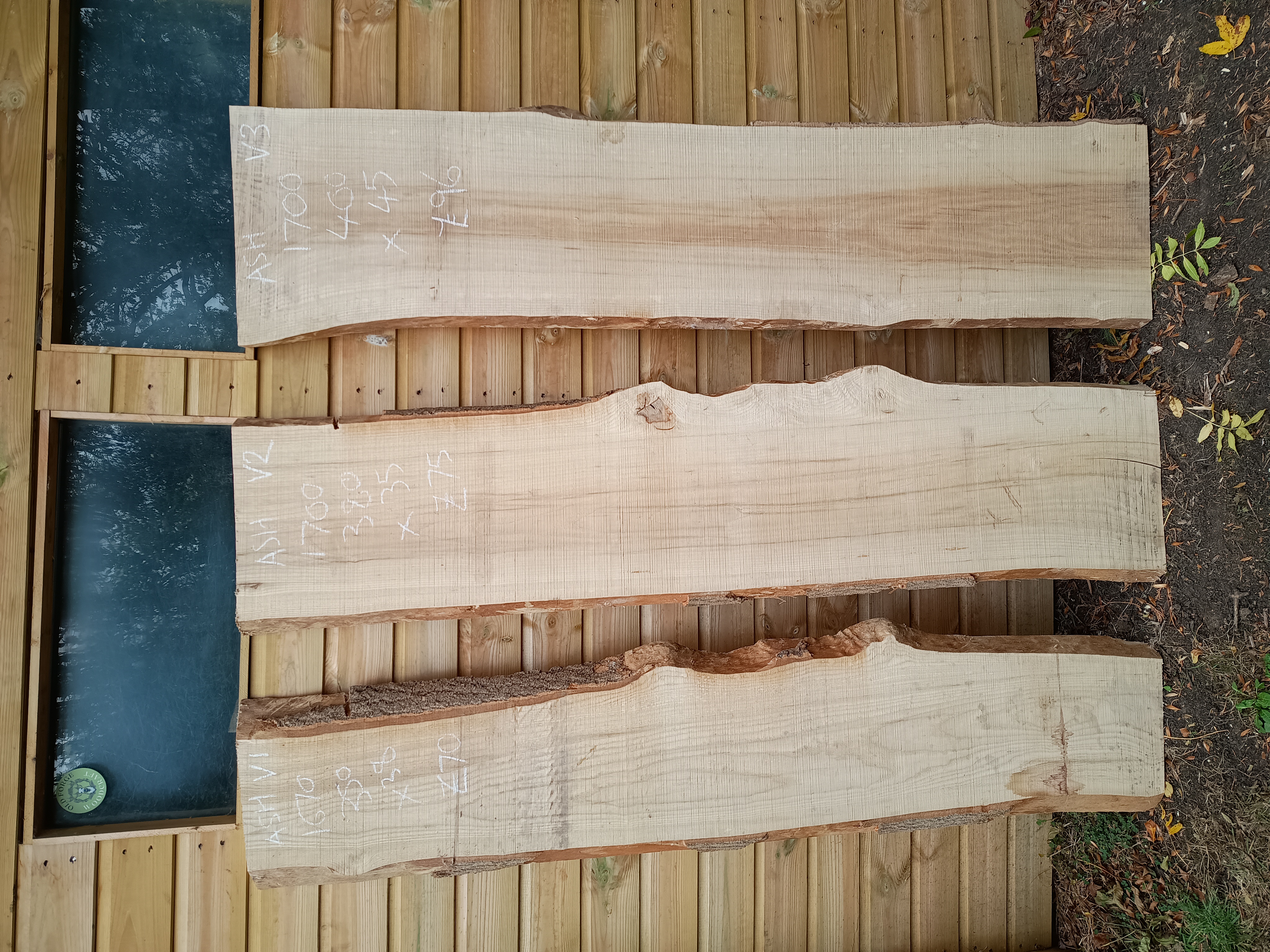 Ash Live / Waney Edge Wood Boards - Batch V