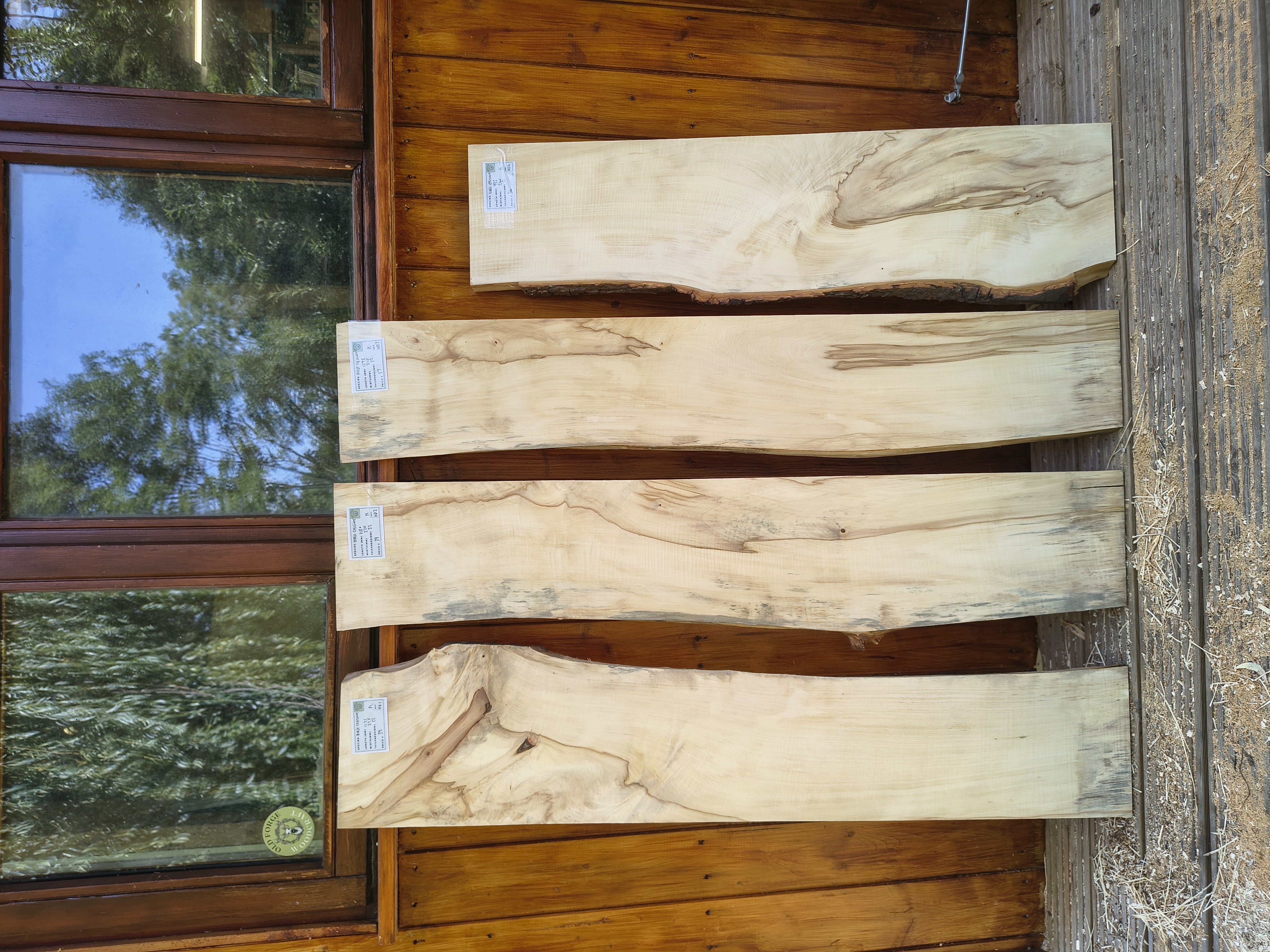 English Horse Chestnut - Batch HD - Air Dried Live Edge Timber Board / Wood / Shelf -  Planed