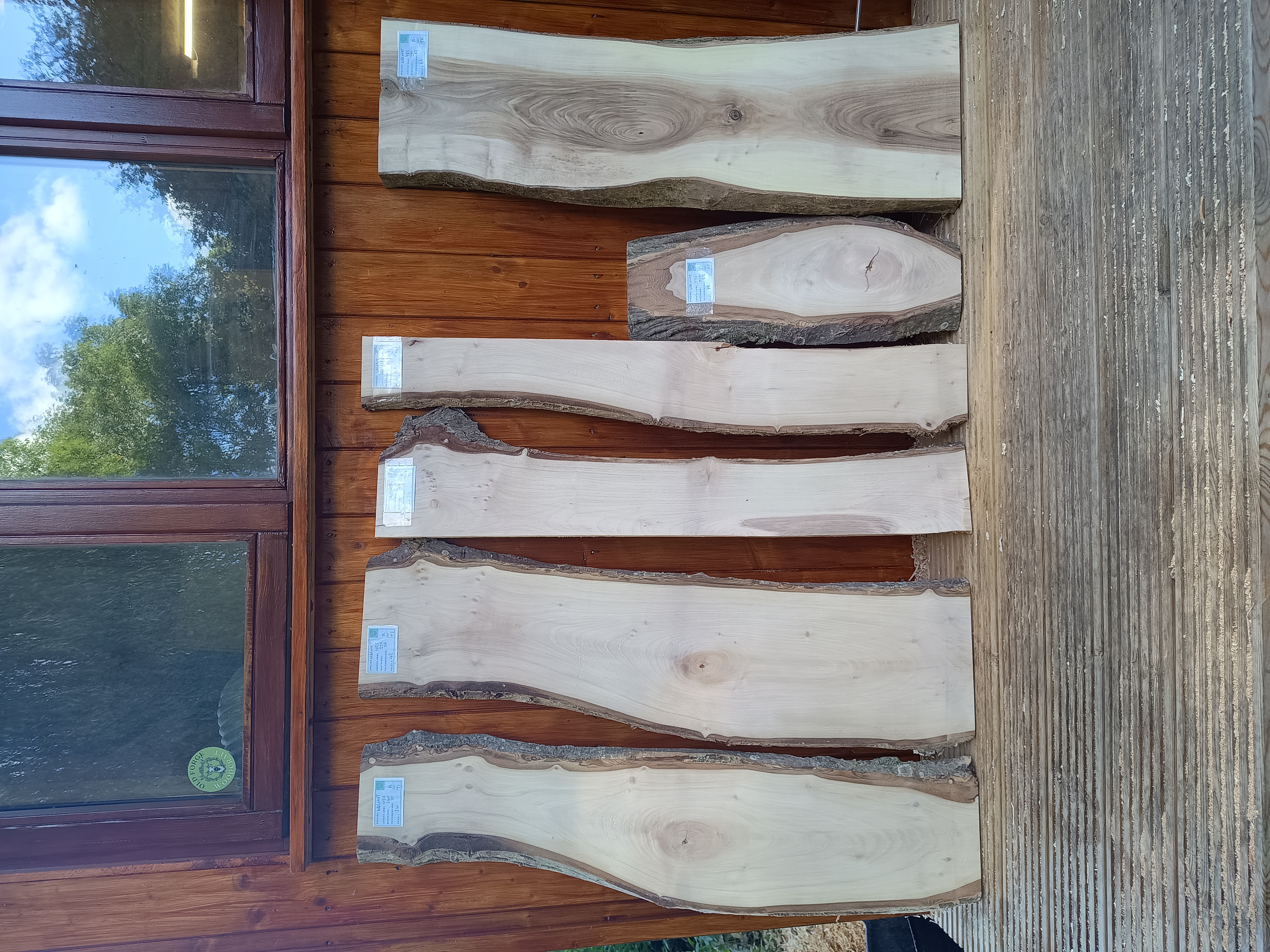 Rare English Walnut - Batch T - Live Edge