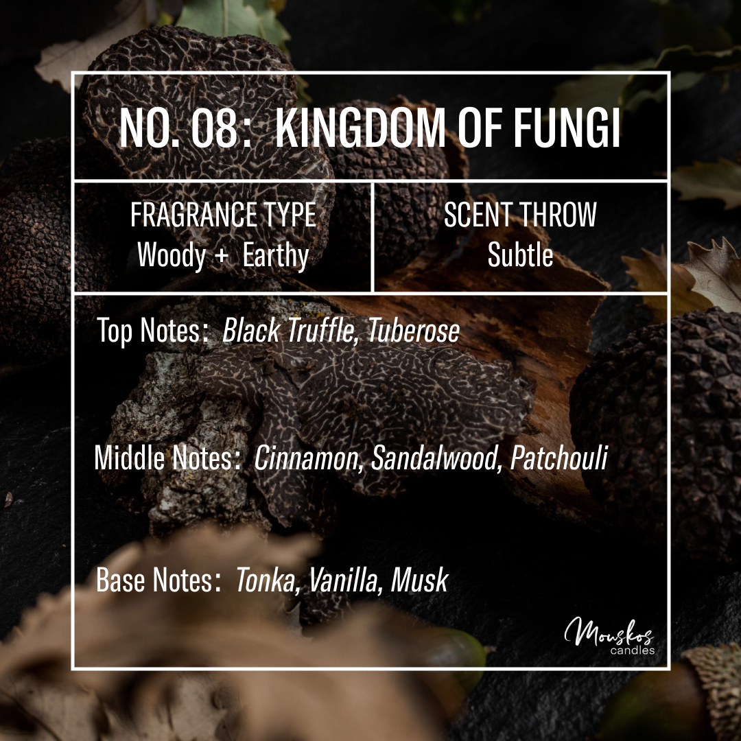 No. 08: Kingdom of Fungi