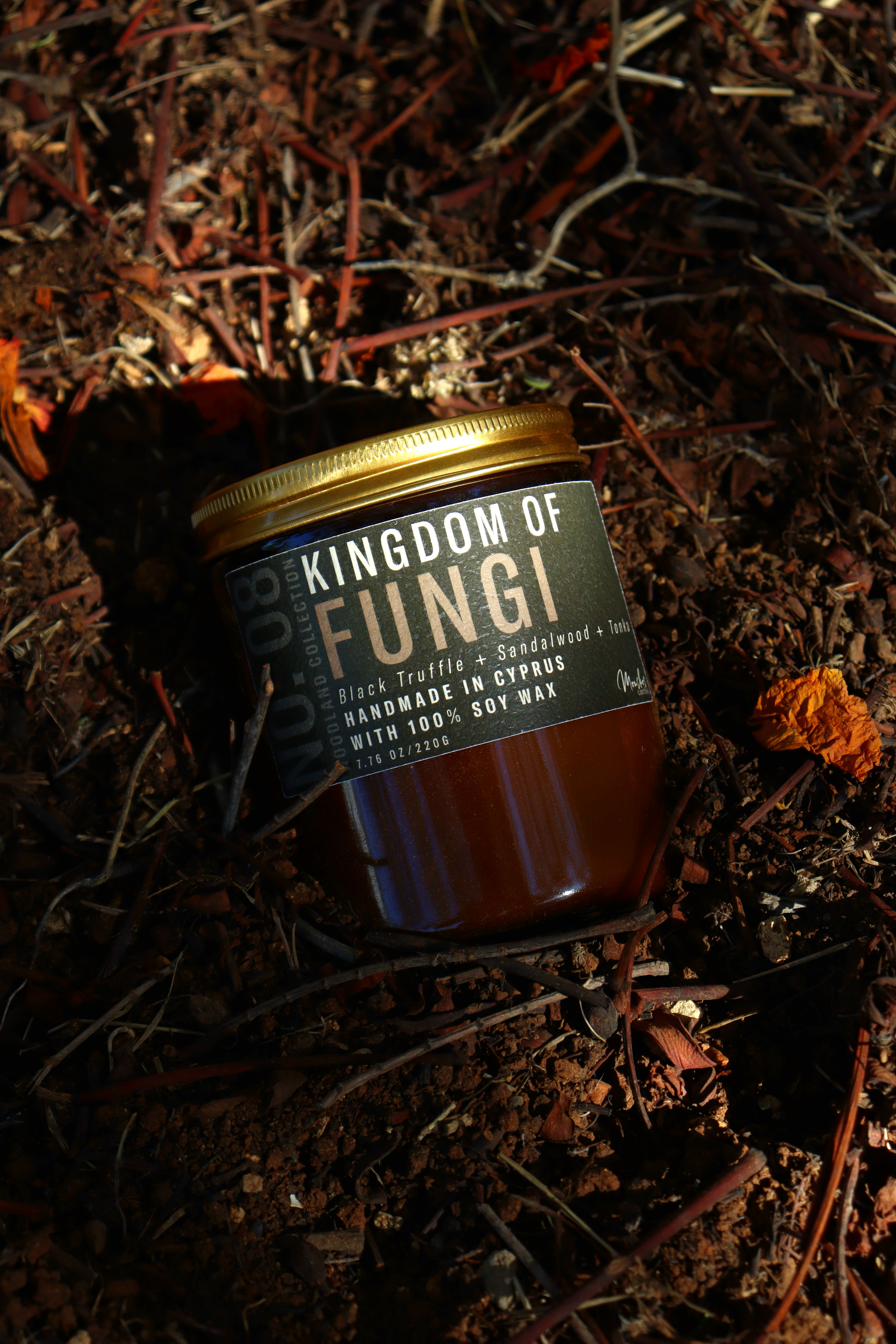 No. 08: Kingdom of Fungi