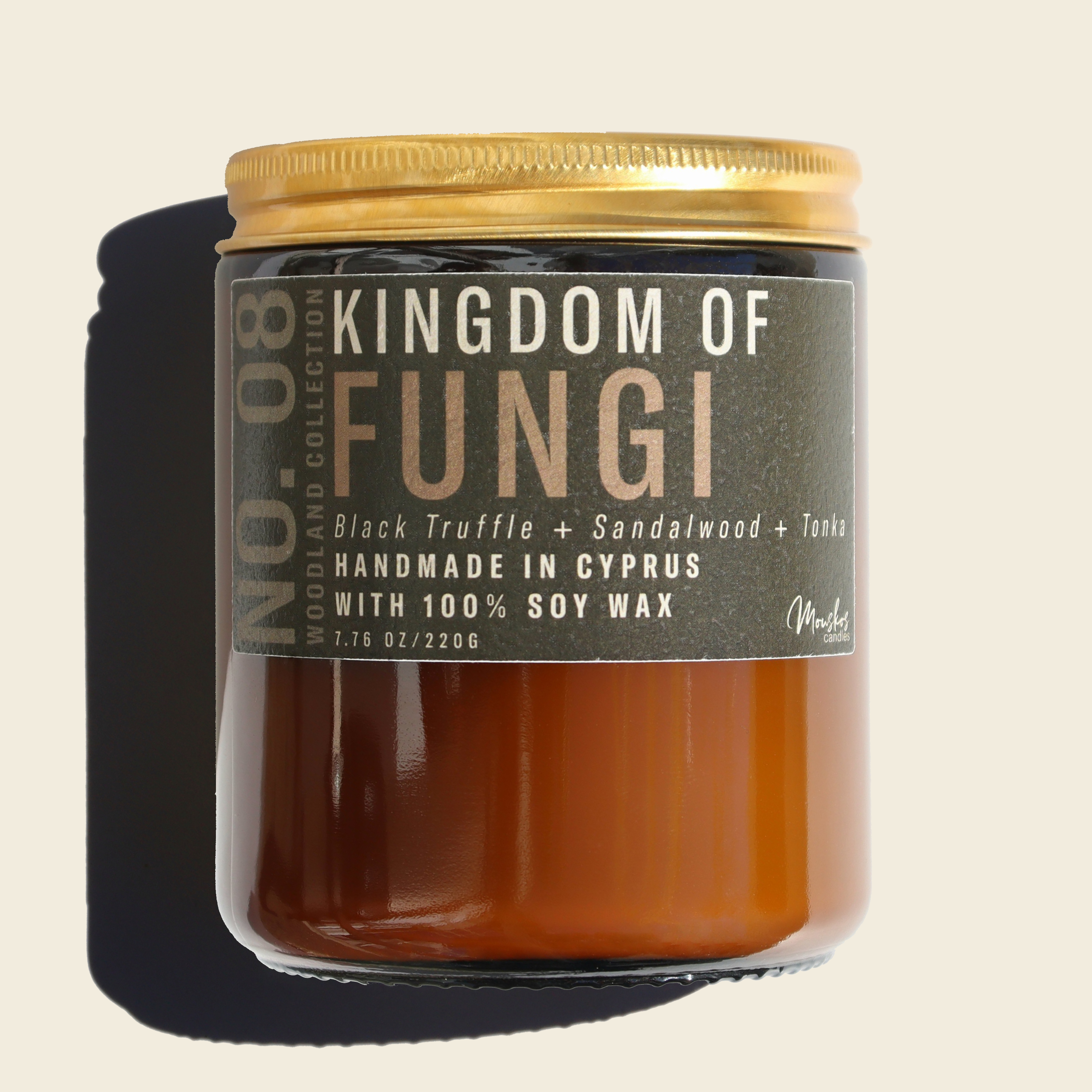 No. 08: Kingdom of Fungi