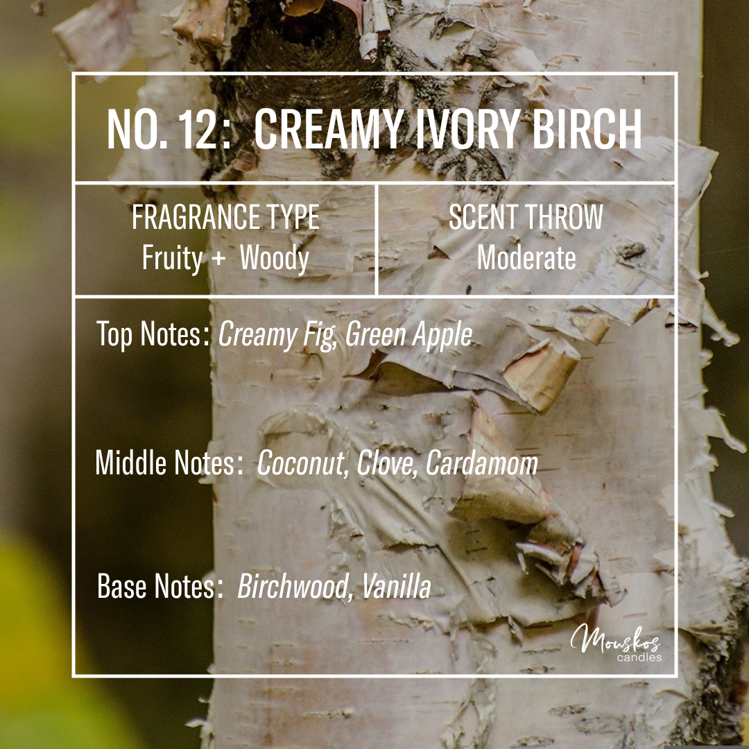 No. 12: Creamy Ivory Birch