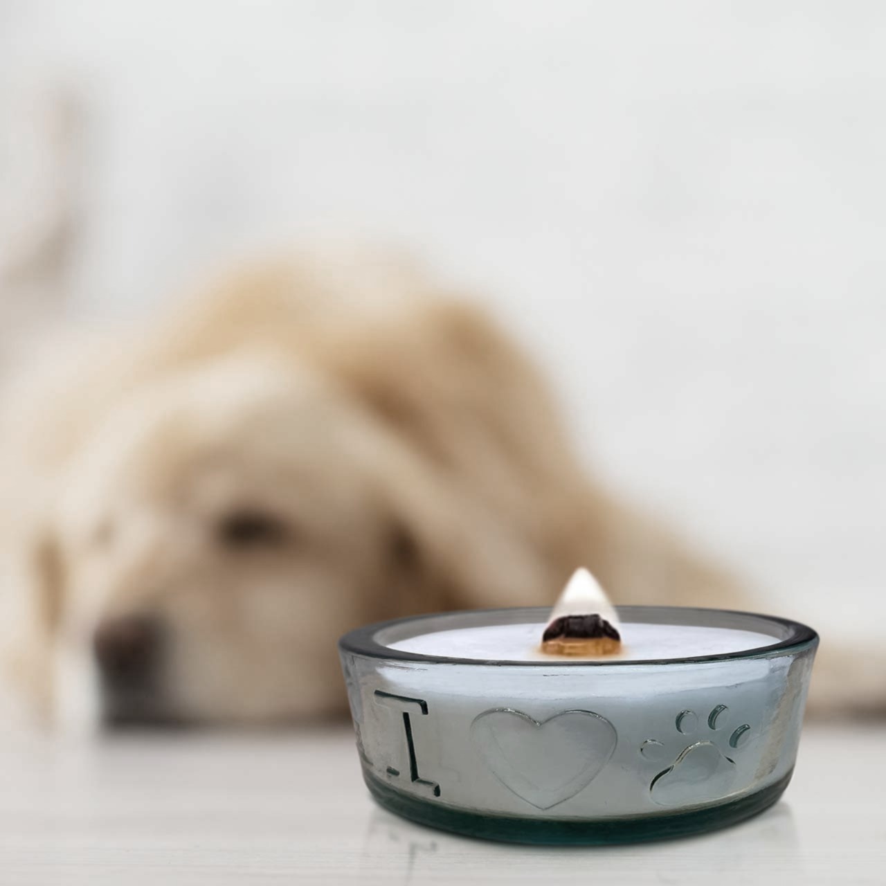 Tails & Tranquility Pet Candle
