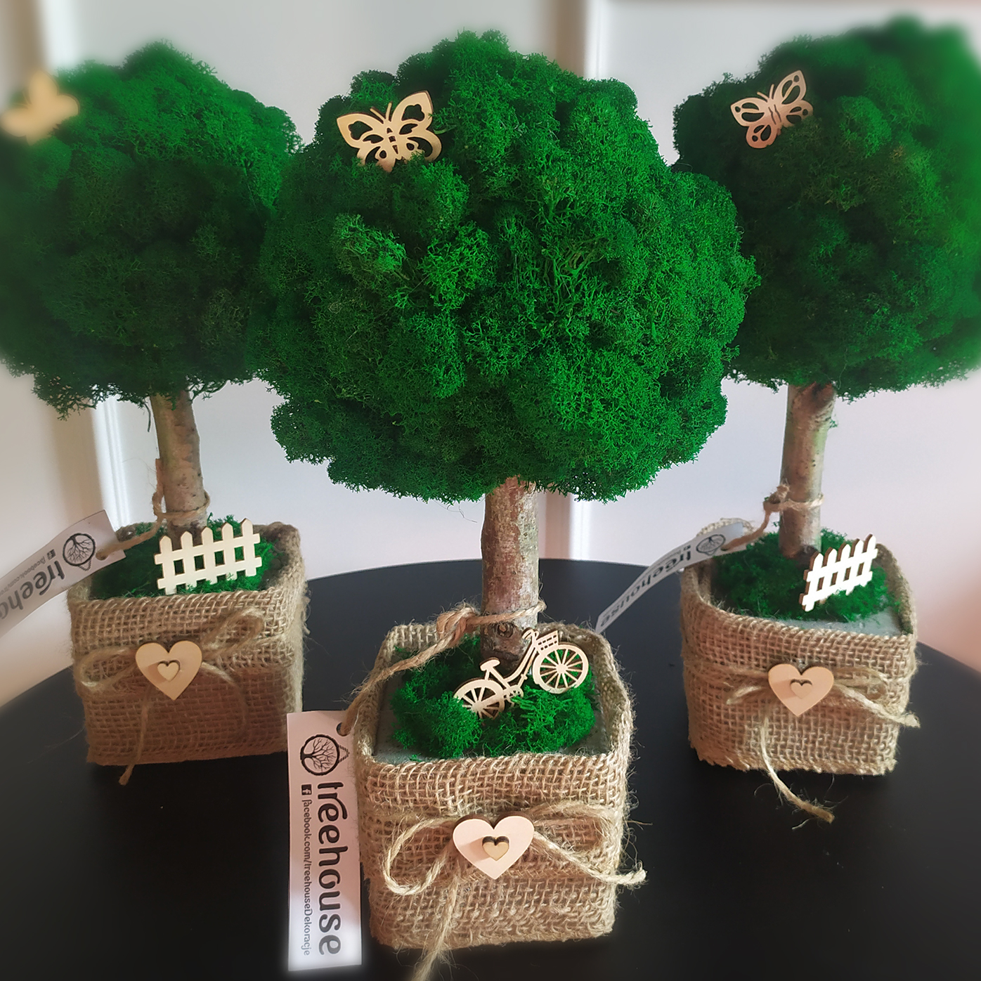 Drzewko z mchu w kwadratowej doniczce