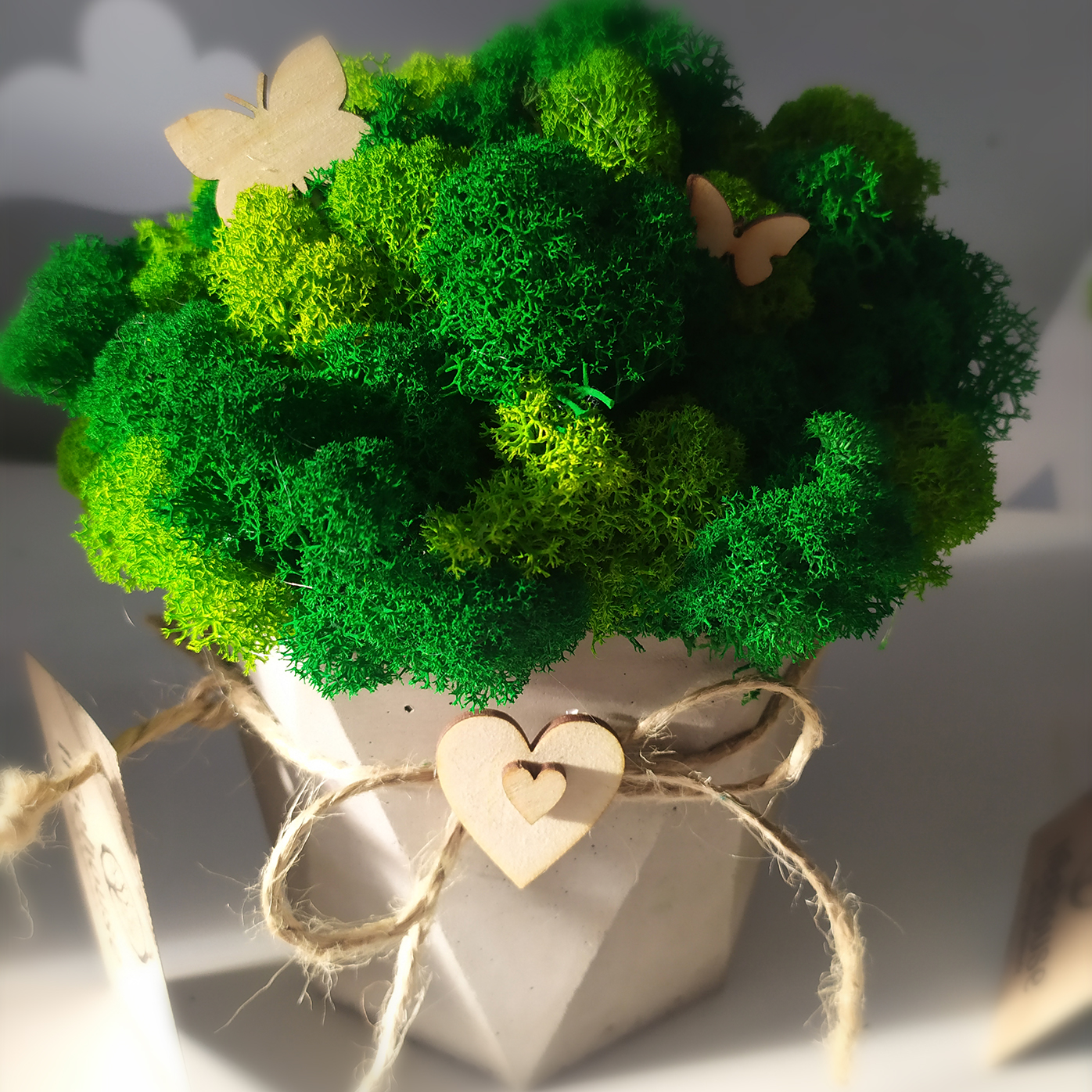 Doniczka betonowa Hexagon z mchem chrobotkiem