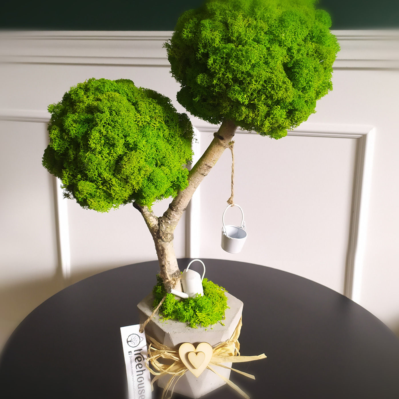 Podwójne drzewko z mchu w betonowej donicy