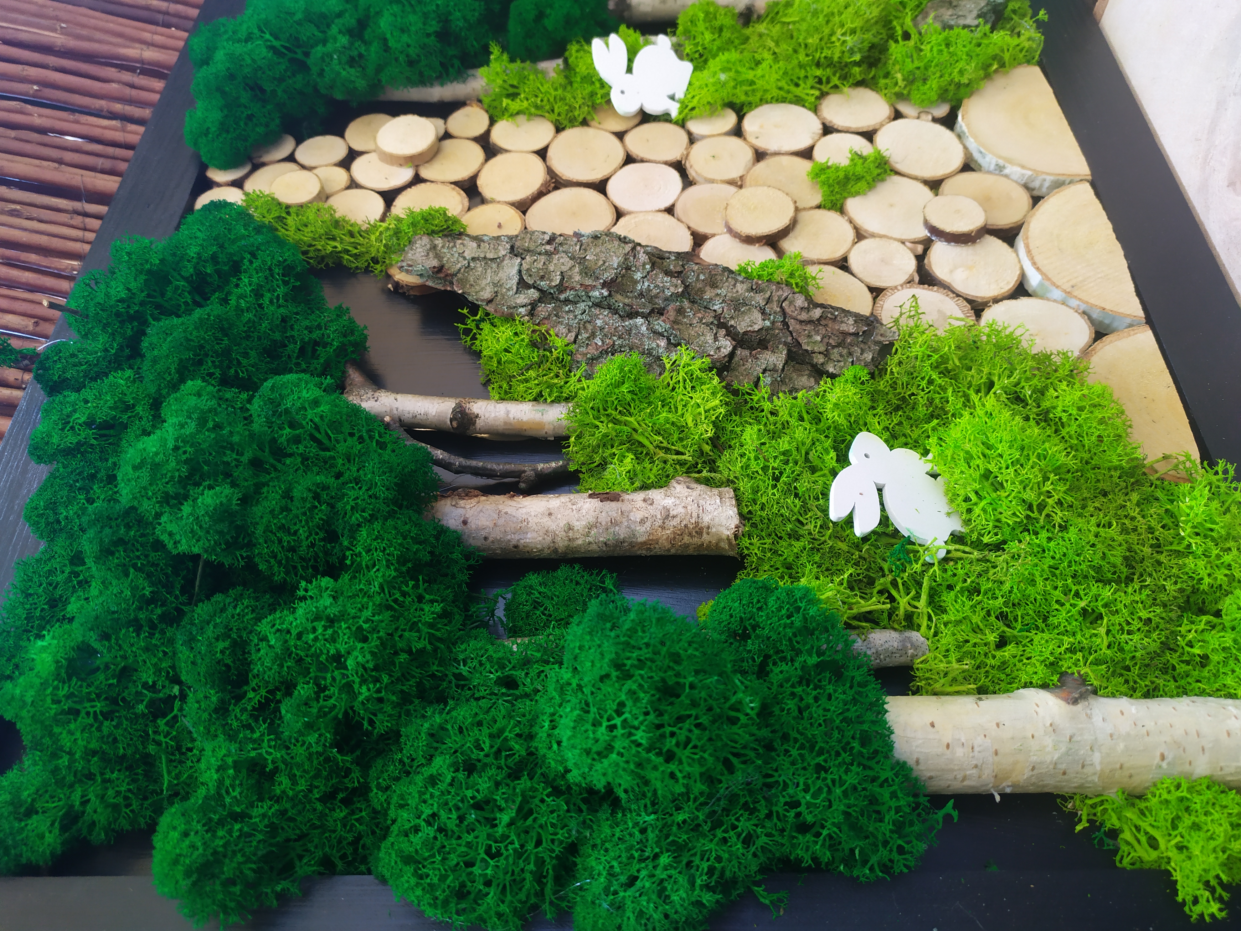 Obraz 50x40, kompozycja LAS z mchem chrobotkiem PREMIUM