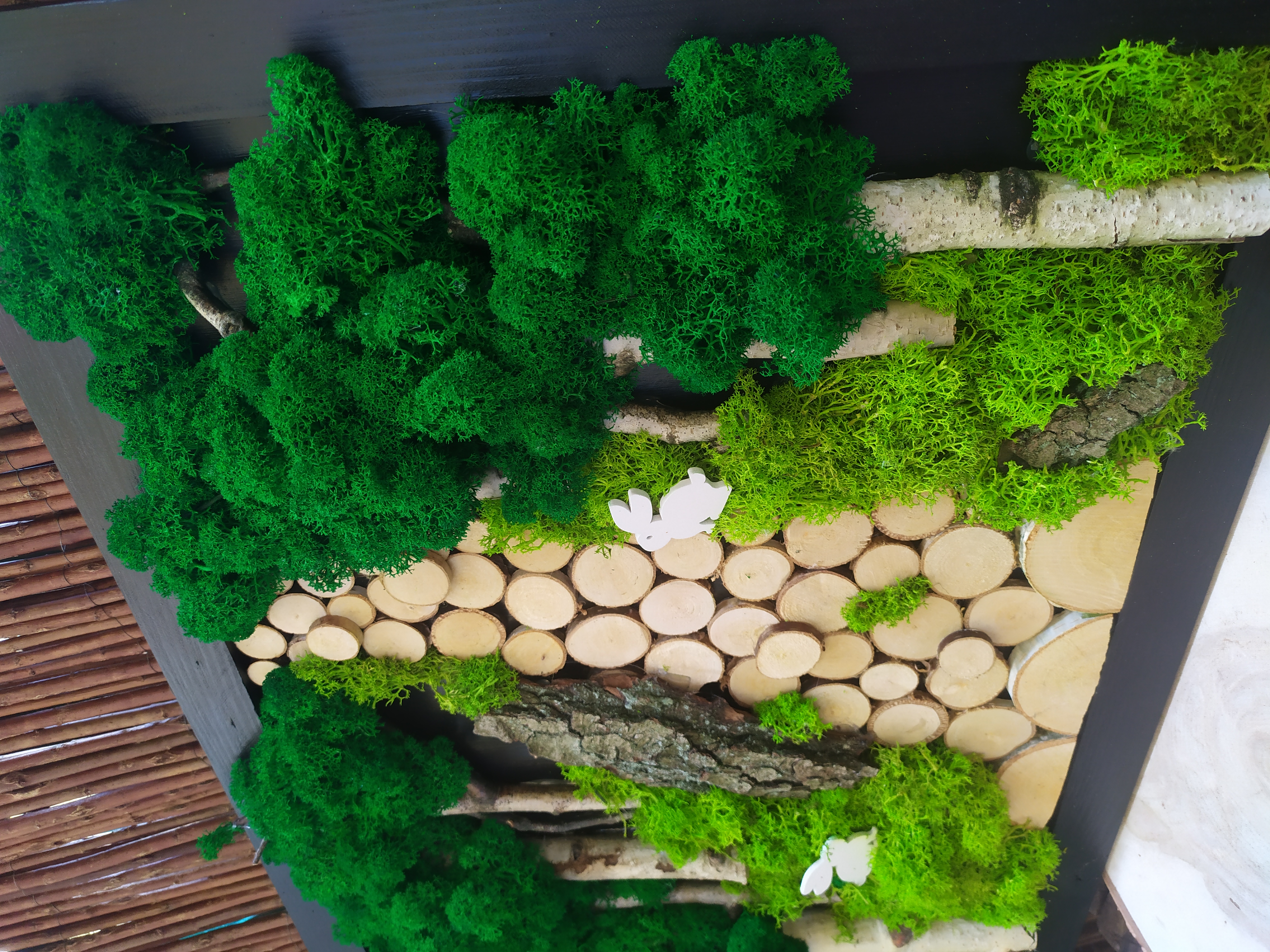 Obraz 50x40, kompozycja LAS z mchem chrobotkiem PREMIUM