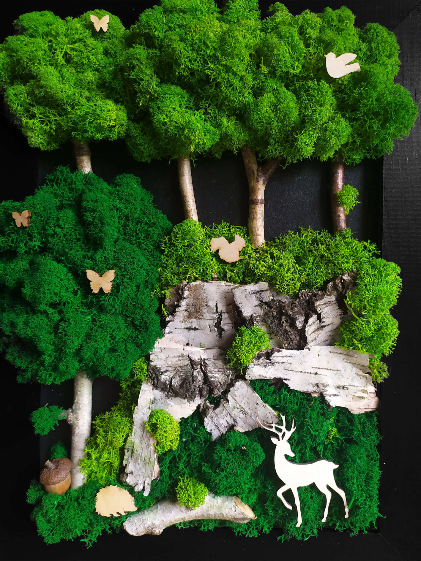 Obraz z mchem 40 x 50 cm, Kompozycja mech chrobotek PREMIUM