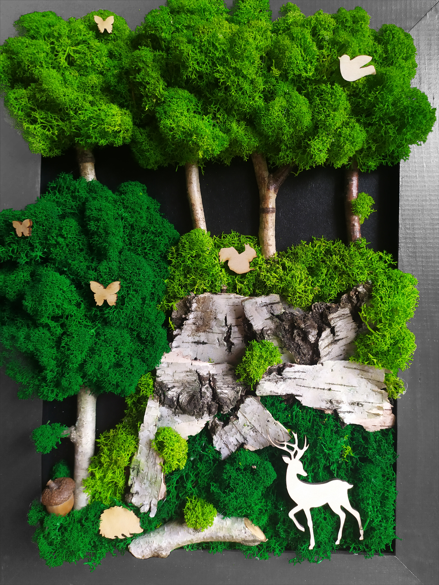 Obraz z mchem 40 x 50 cm, Kompozycja mech chrobotek PREMIUM