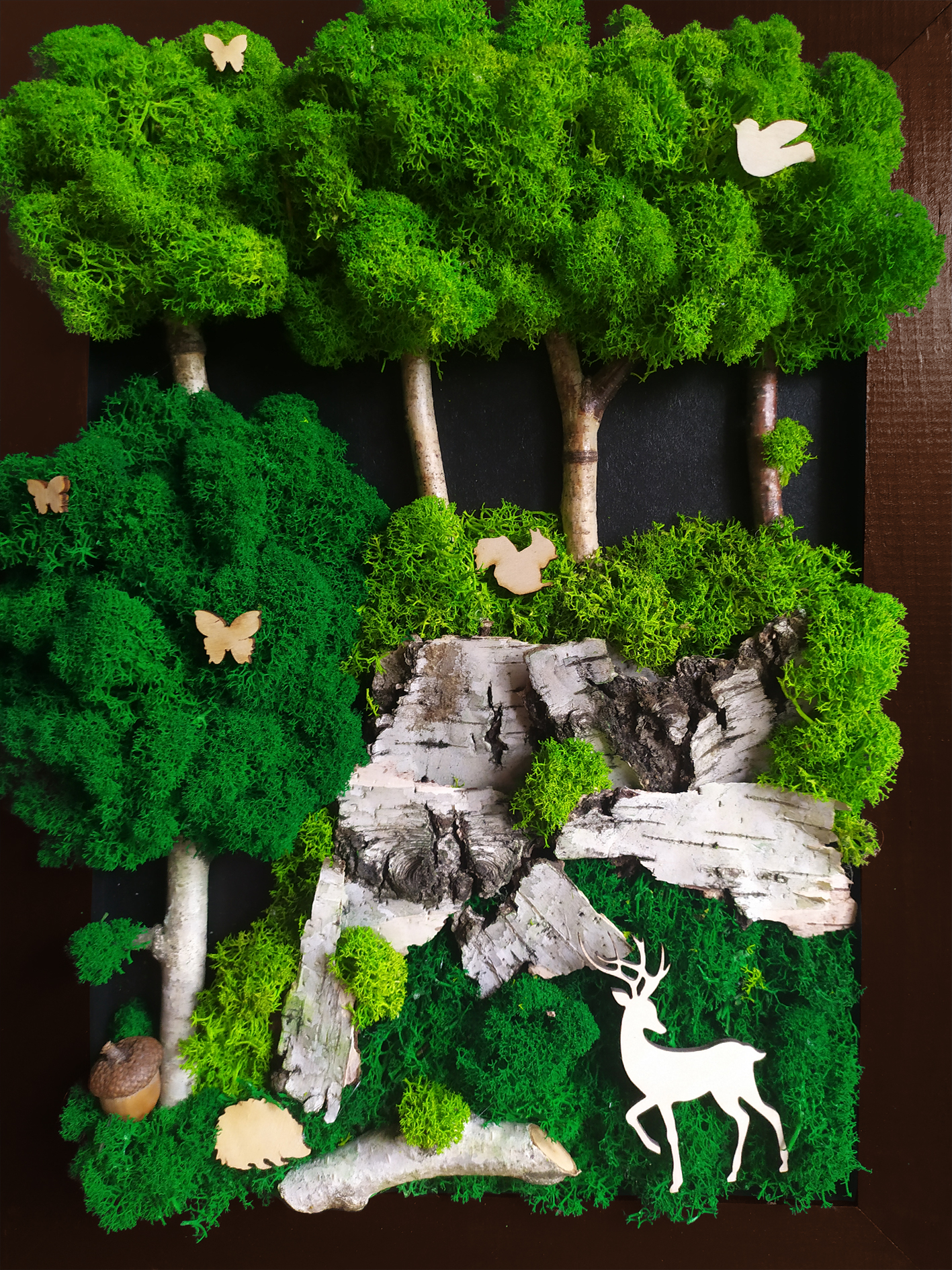 Obraz z mchem 40 x 50 cm, Kompozycja mech chrobotek PREMIUM