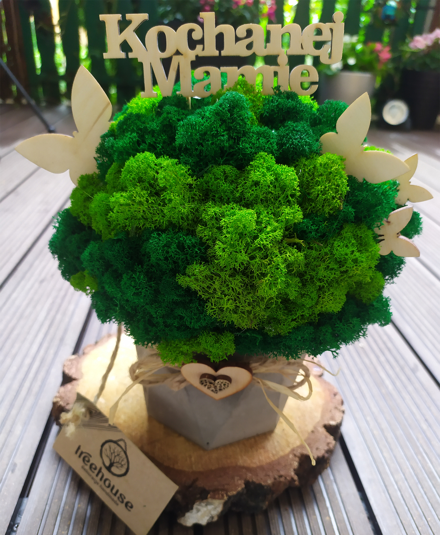 Doniczka betonowa Hexagon z mchem chrobotkiem