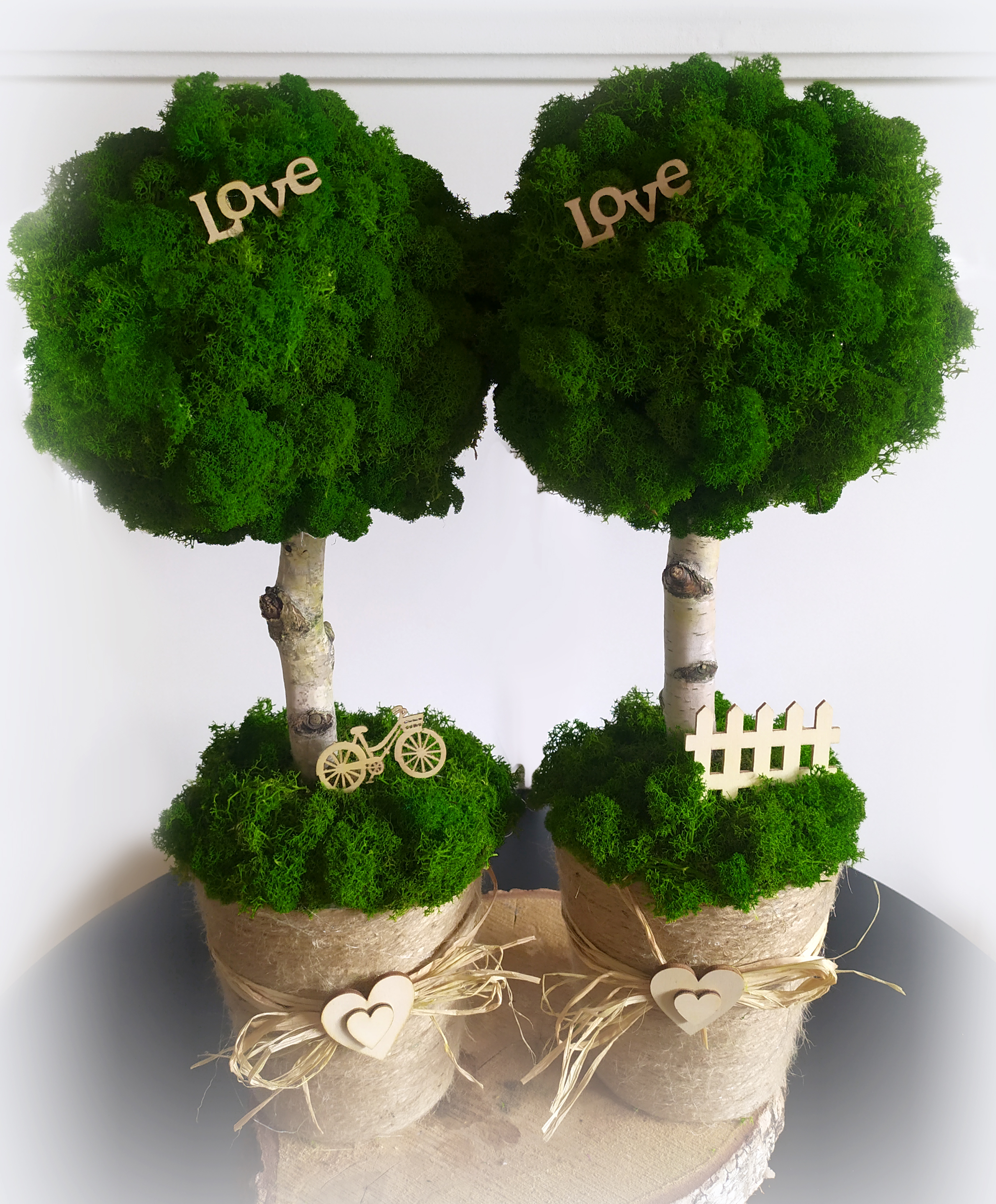 Duże drzewko z mchu w jutowej donicy