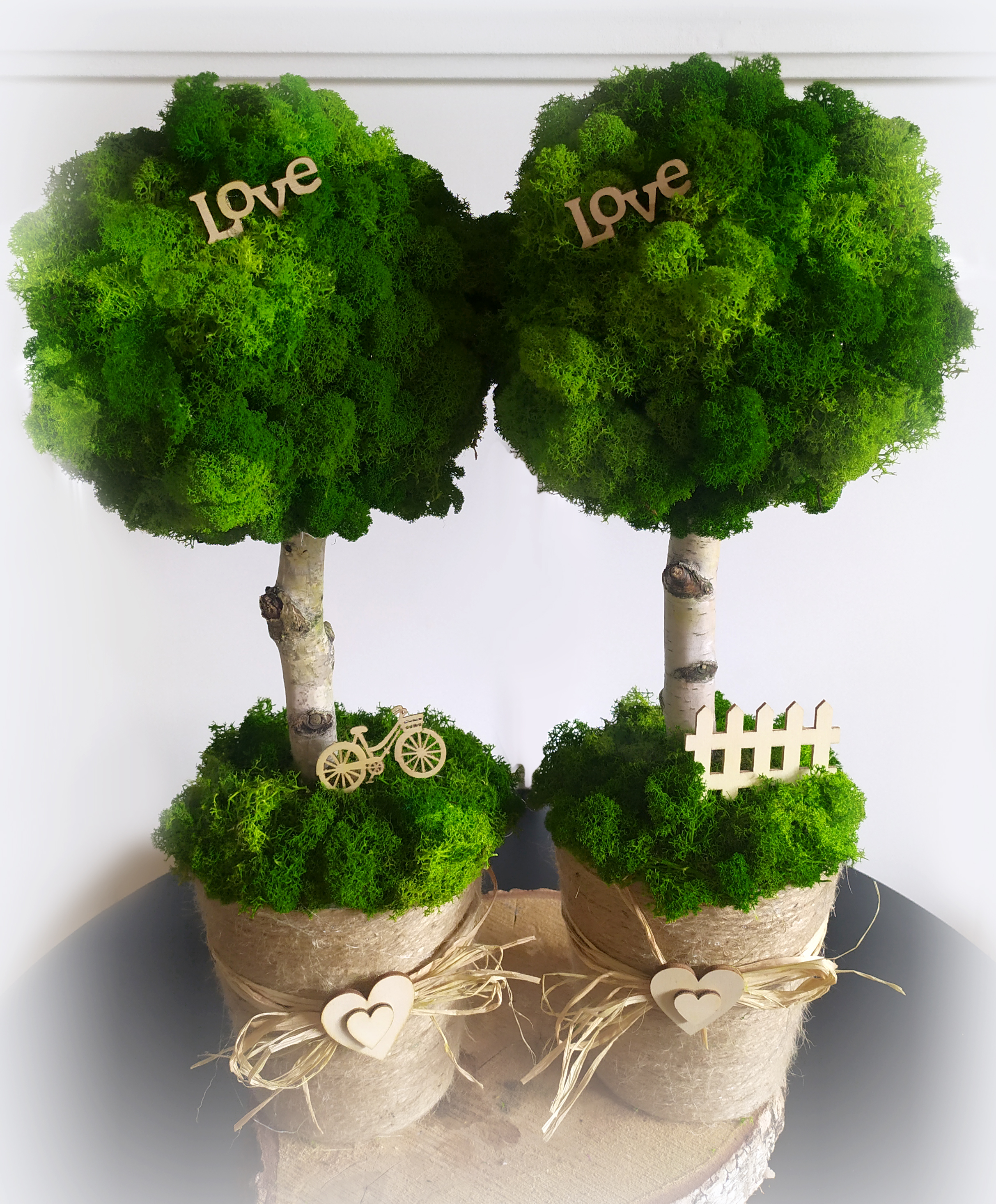 Duże drzewko z mchu w jutowej donicy