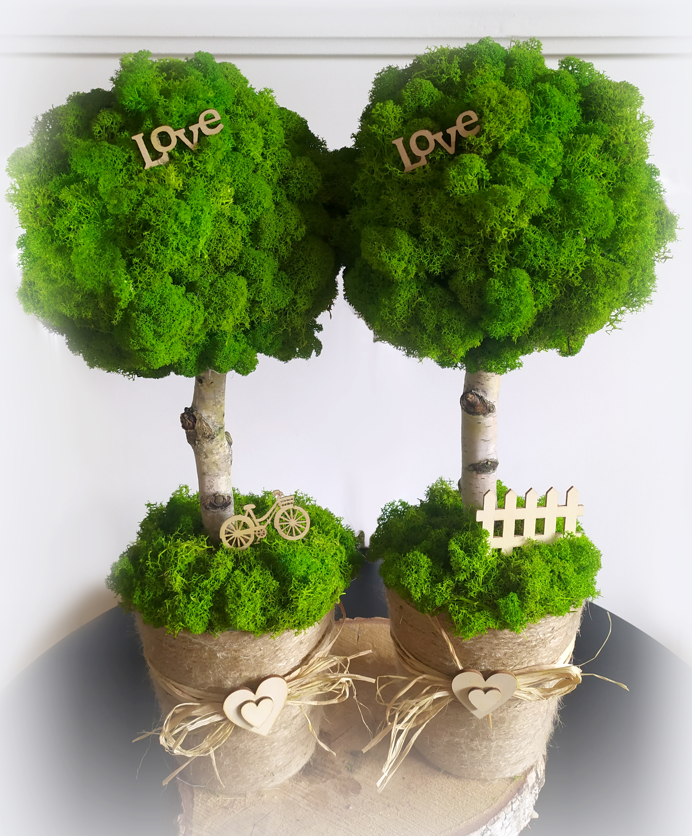 Duże drzewko z mchu w jutowej donicy