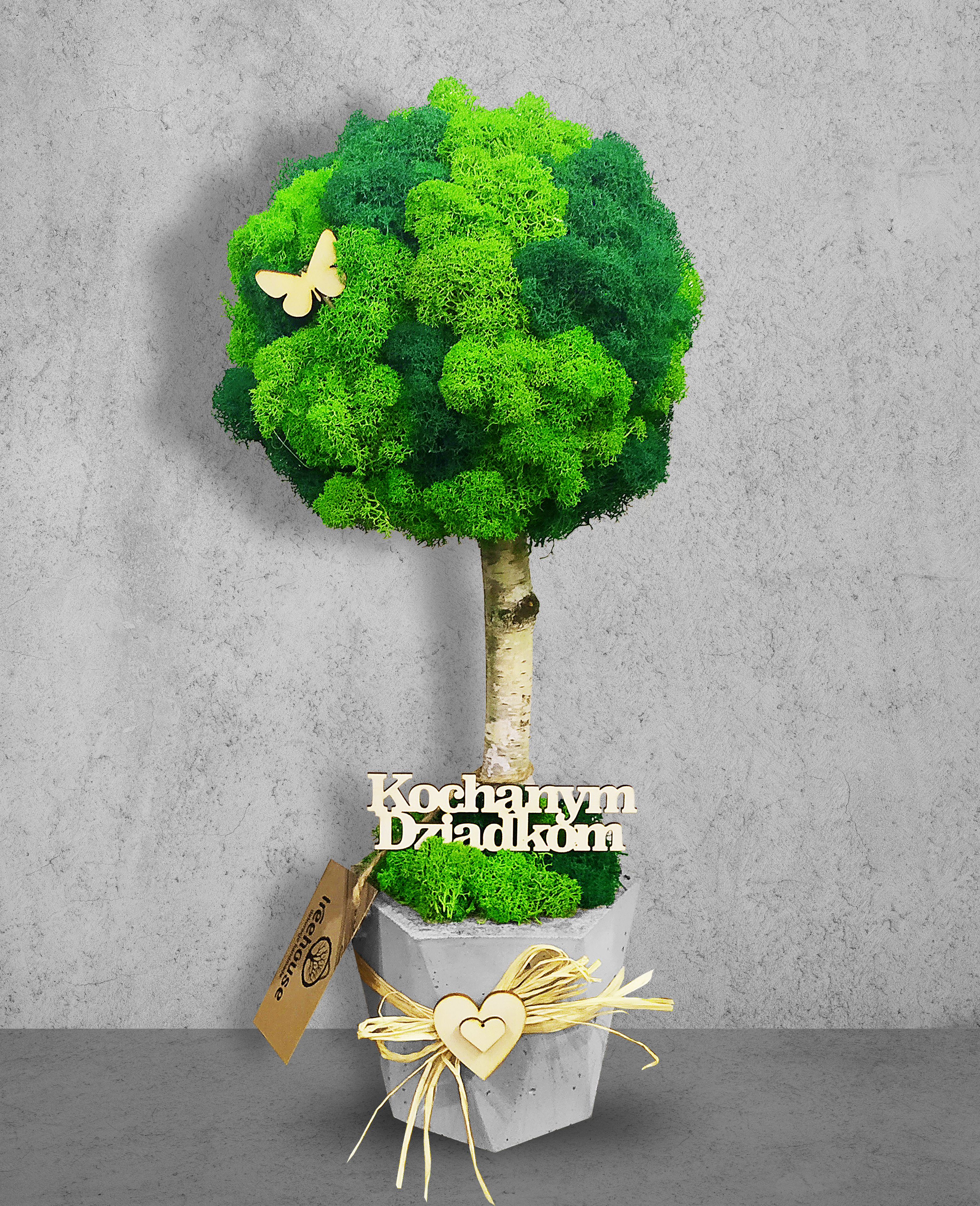 Duże drzewko z mchu w betonowej donicy Heksagon