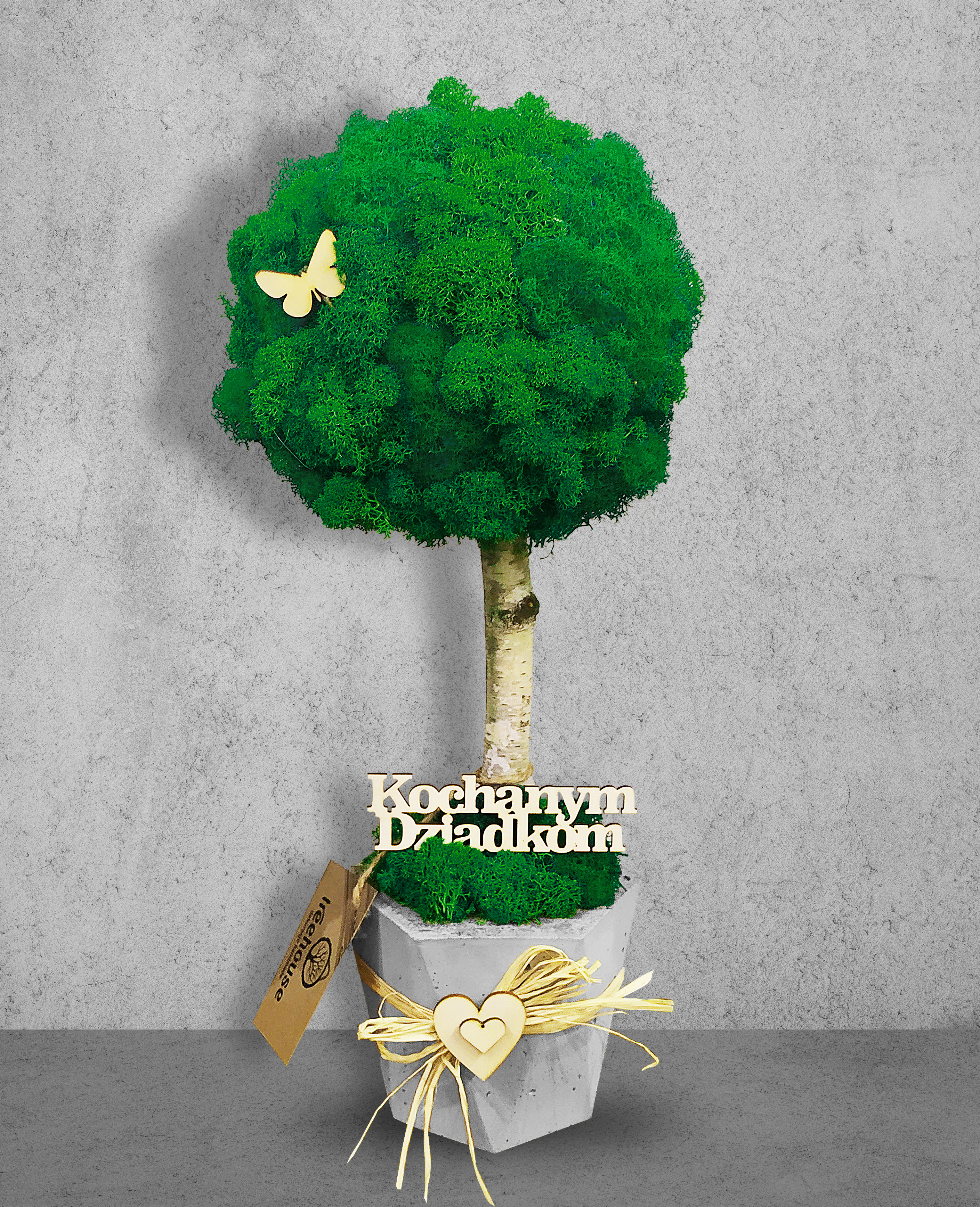 Duże drzewko z mchu w betonowej donicy Heksagon