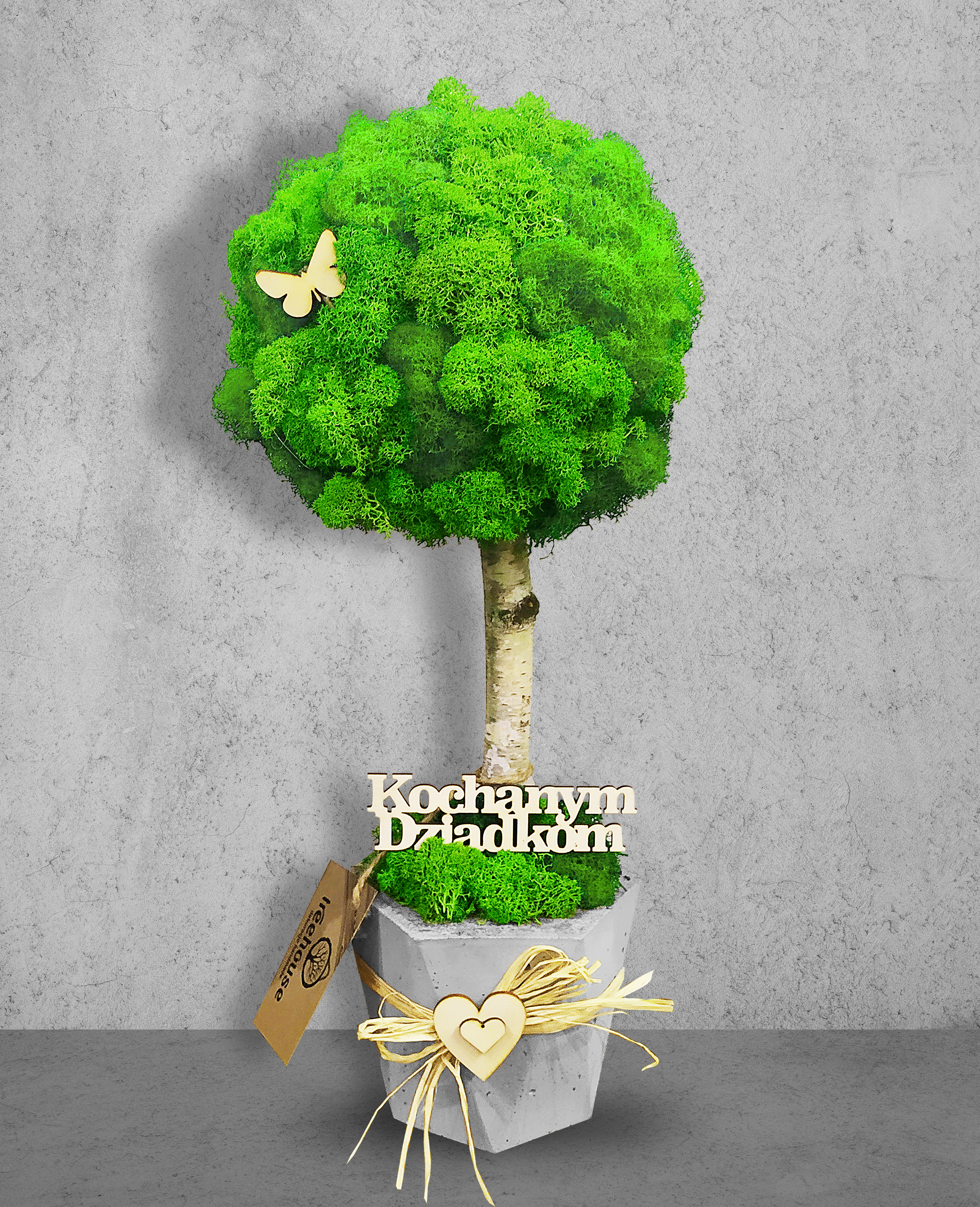 Duże drzewko z mchu w betonowej donicy Heksagon