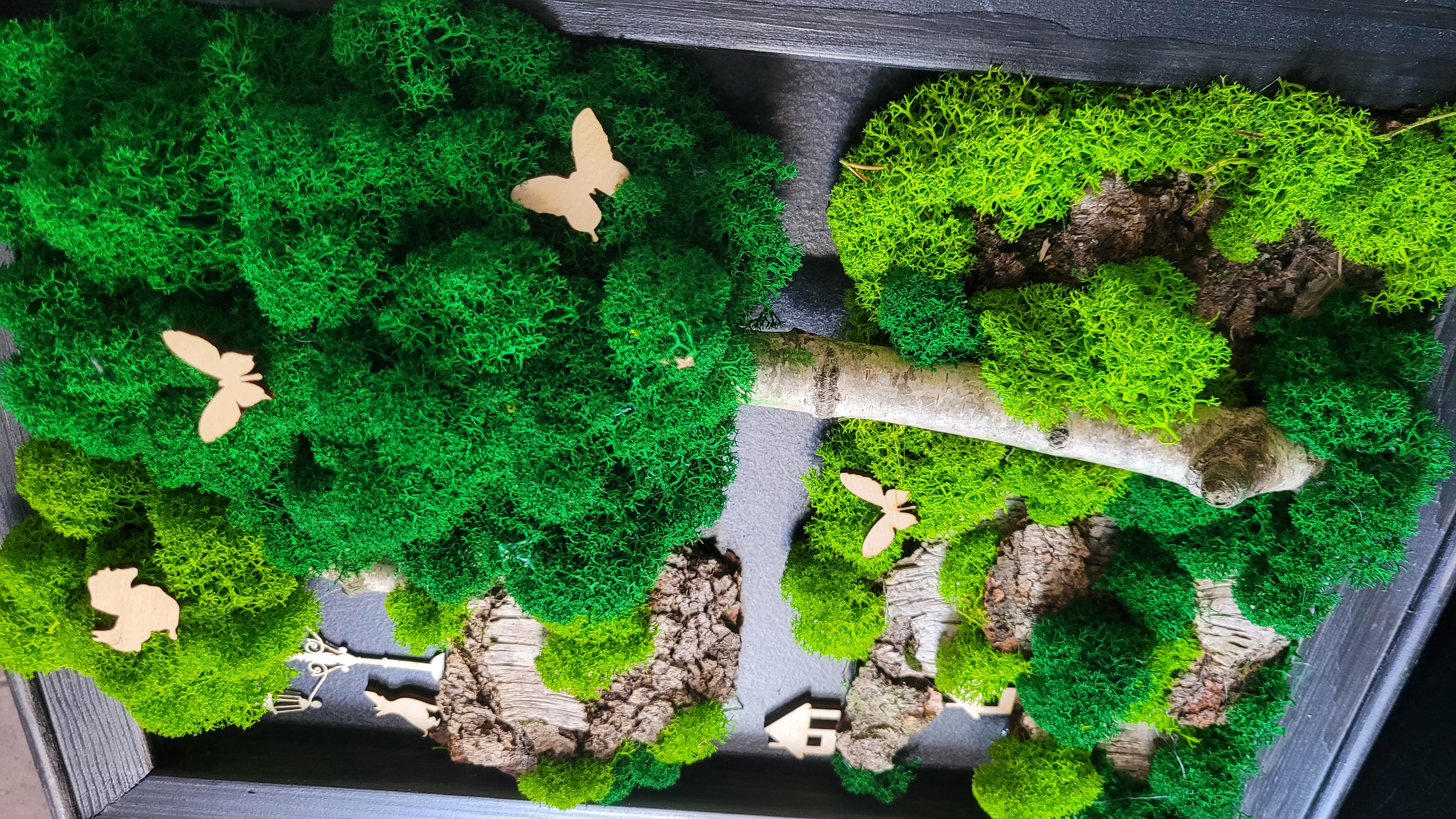 Obraz 30x40cm, Kompozycja mech chrobotek PREMIUM