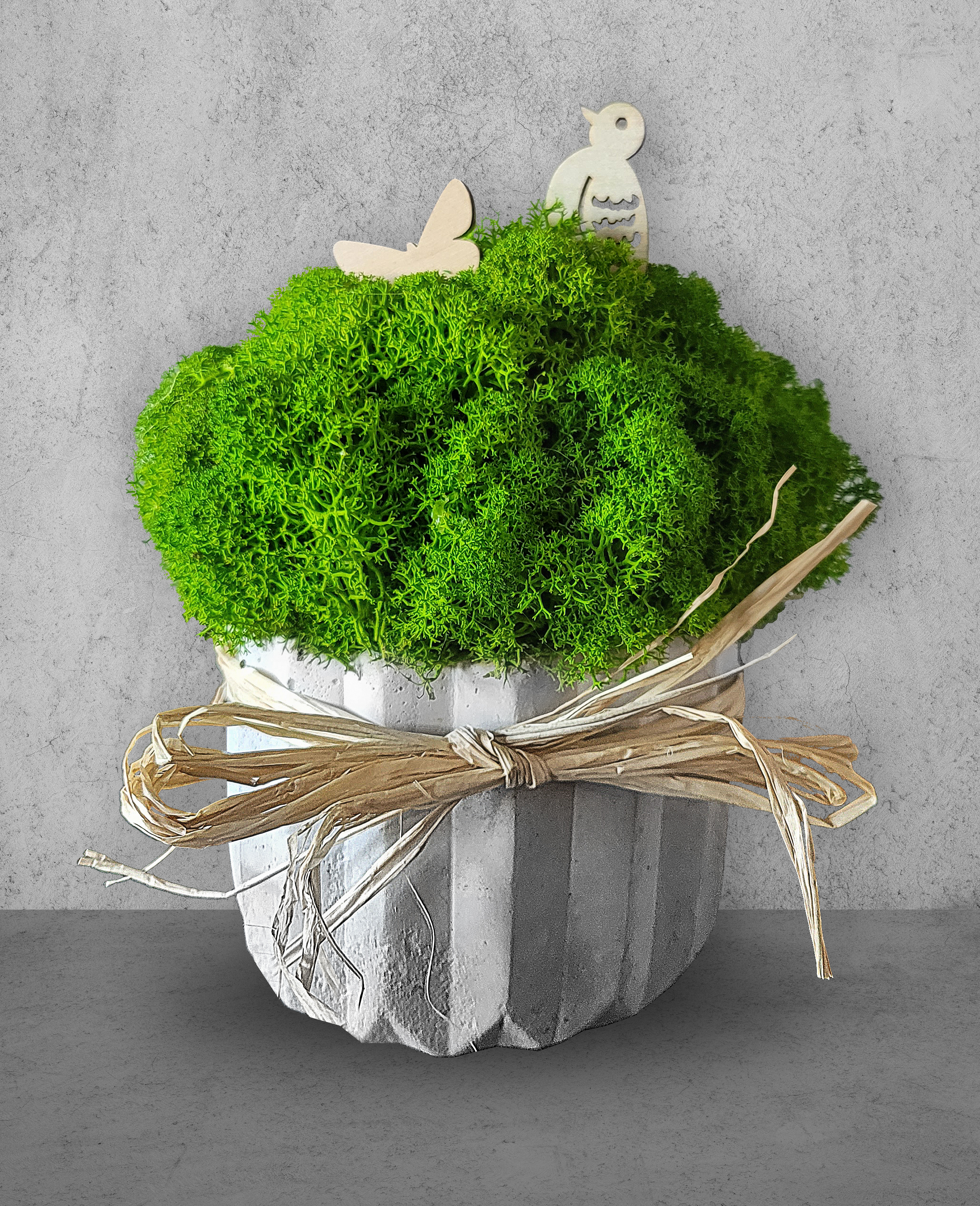 Betonowa doniczka geometryczna z mchem chrobotkiem