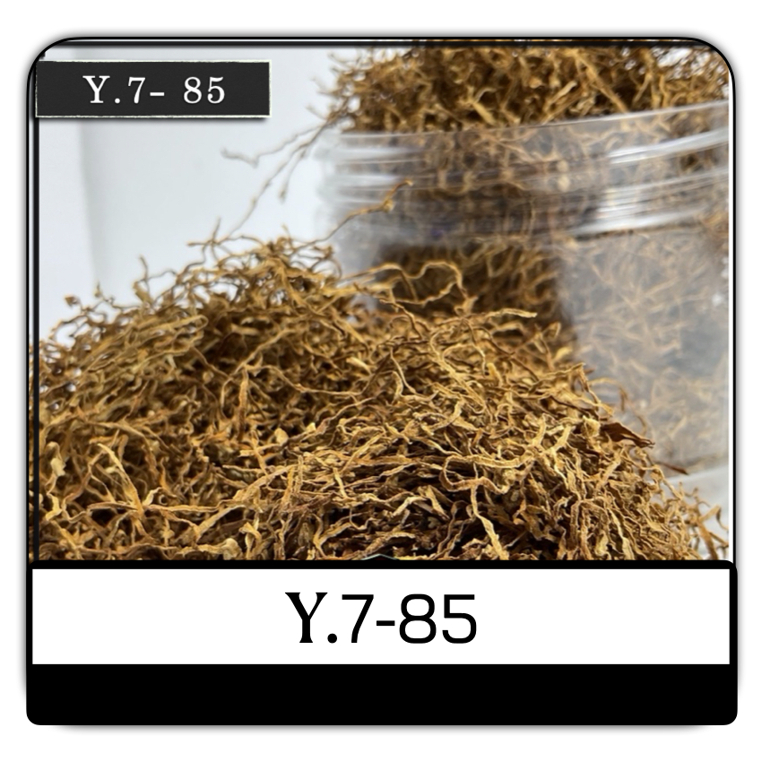 YASEN เกรดพื้นบ้านไทย Y7-85 ( กรองทิพย์ 85 ) 1ถุง 100 กรัม