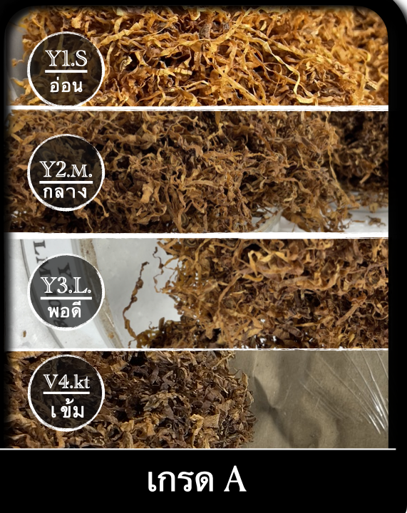 YASEN เกรดA Y2-MBR ( marlboro ) 1ถุง 100 กรัม