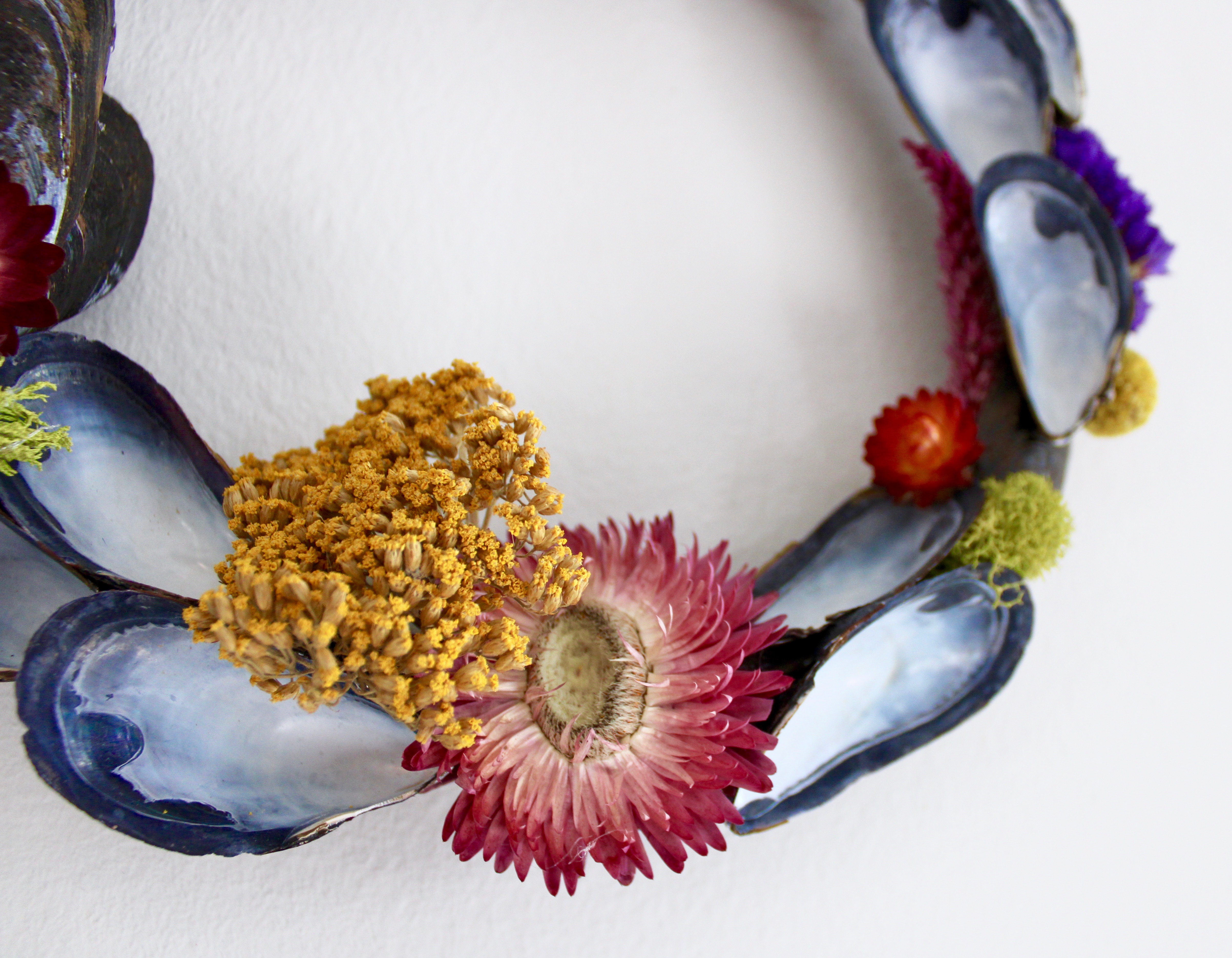 Mussel Wreath