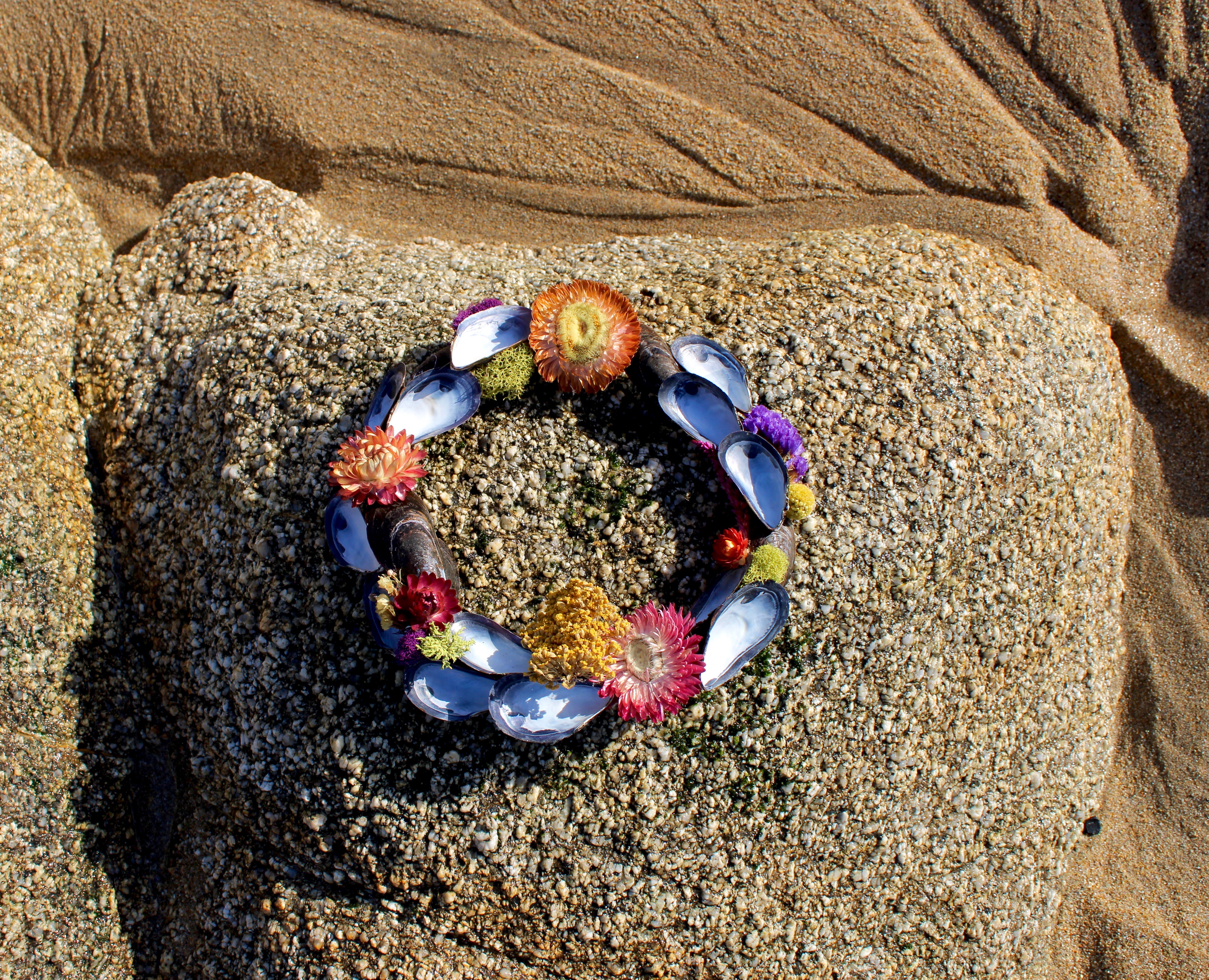 Mussel Wreath