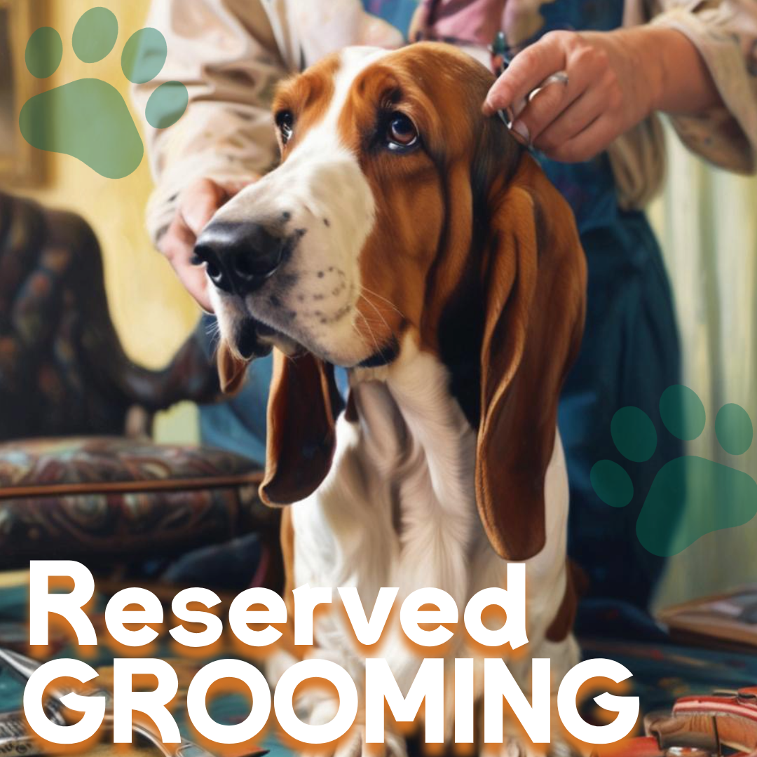 Reserved Grooming