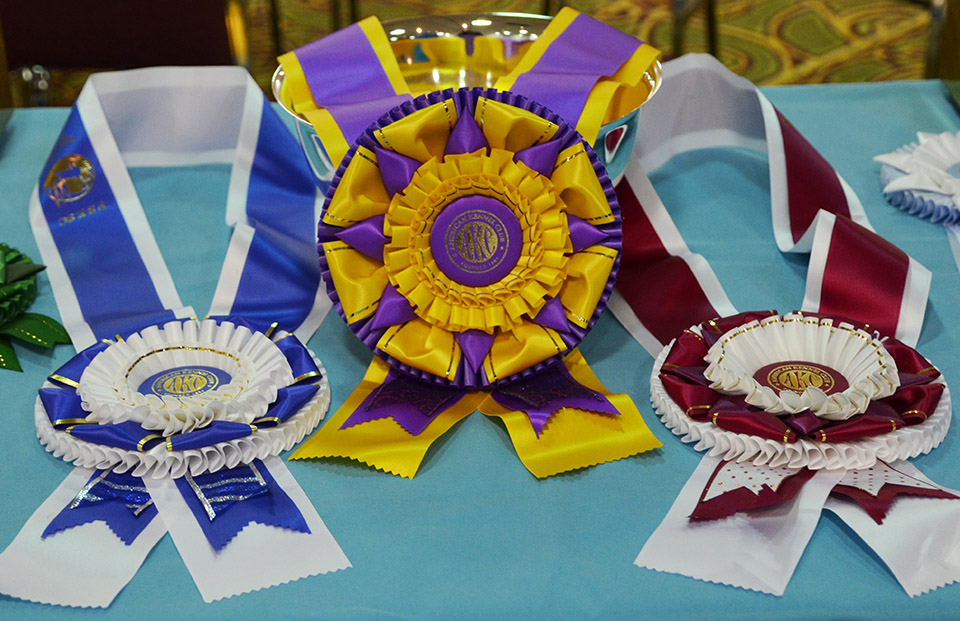 2026 BHCA Nationals Trophy Sponsorship - General Fund ($25 to $1000)