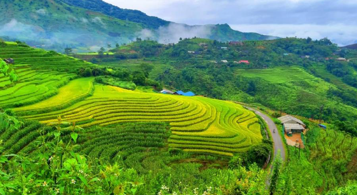 Sin Suoi Ho village VISIT - 1/2 day