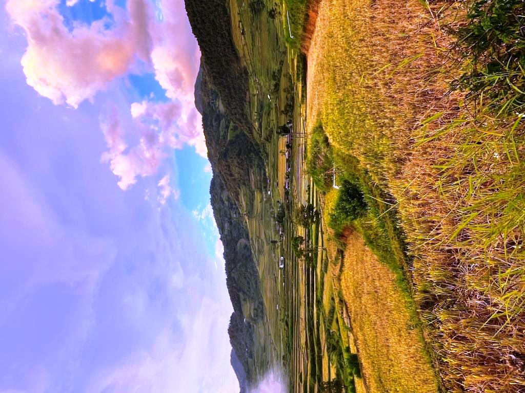 Ta Leng - HIKING - 1/2 day