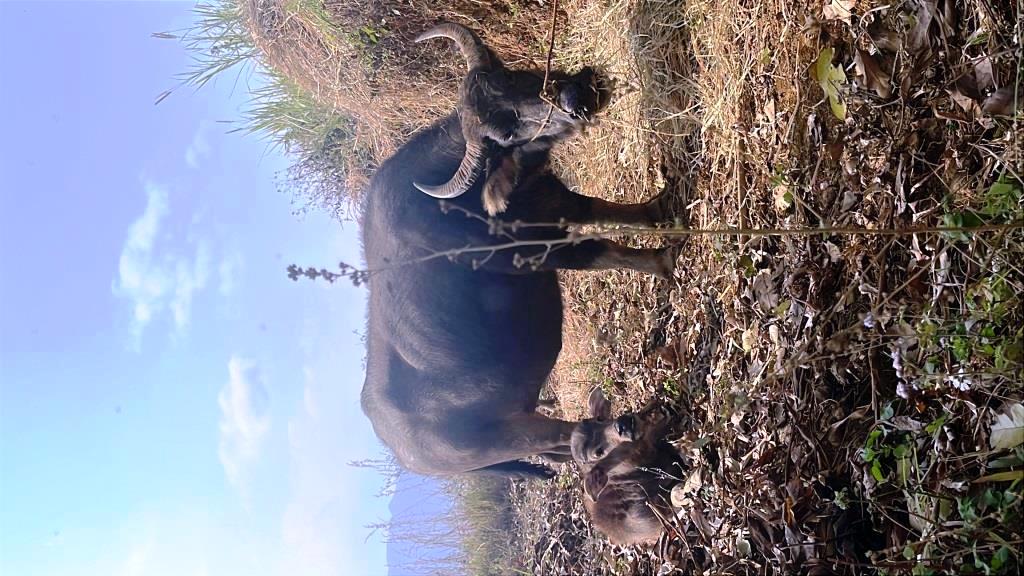 Then Sin HIKING - 1/2 day 