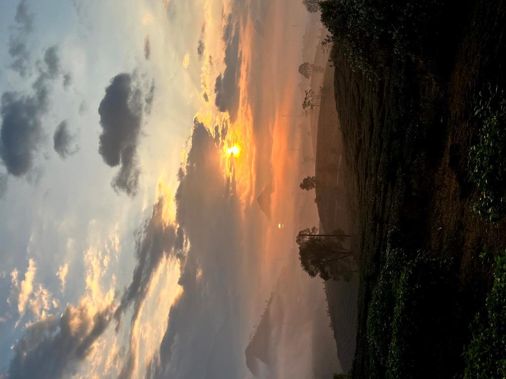 Plantations de thé panoramiques 6 ou 10 km - RANDONNÉE - 1/2 journée 