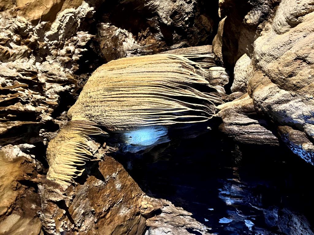 Tien Son - Cave VISIT  - 1/2 day