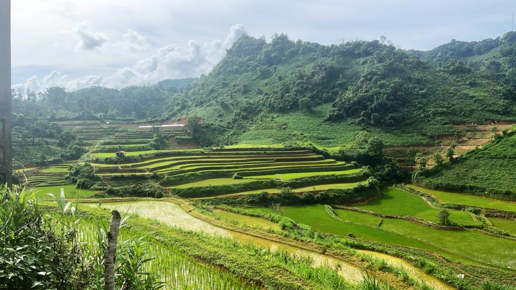 Sung Phai Y Phin - RANDONNÉE -  1 journée 