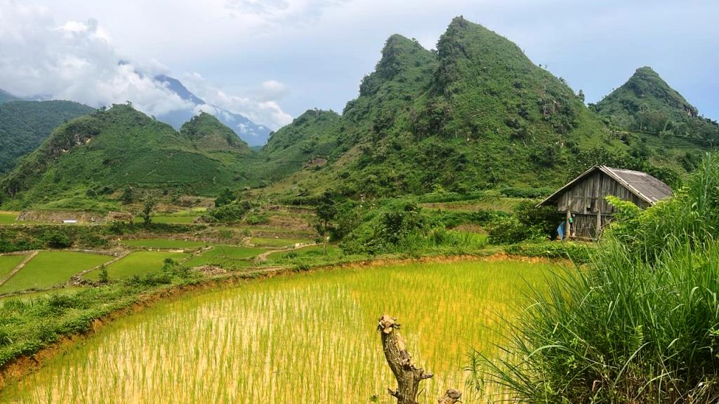 Sung Phai Y Phin - RANDONNÉE -  1 journée 