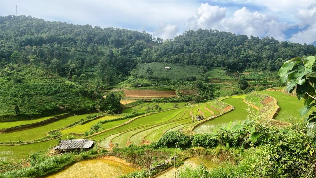 Sung Phai Y Phin - RANDONNÉE -  1 journée 