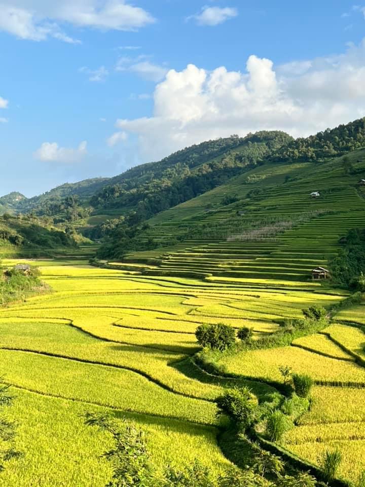 Sung Phai Y Phin - RANDONNÉE -  1 journée 