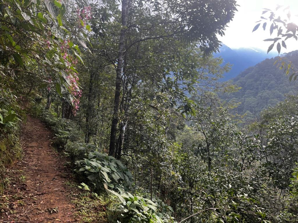 Ta Leng piscine naturelle en jungle - RELAXATION- 1 journée 