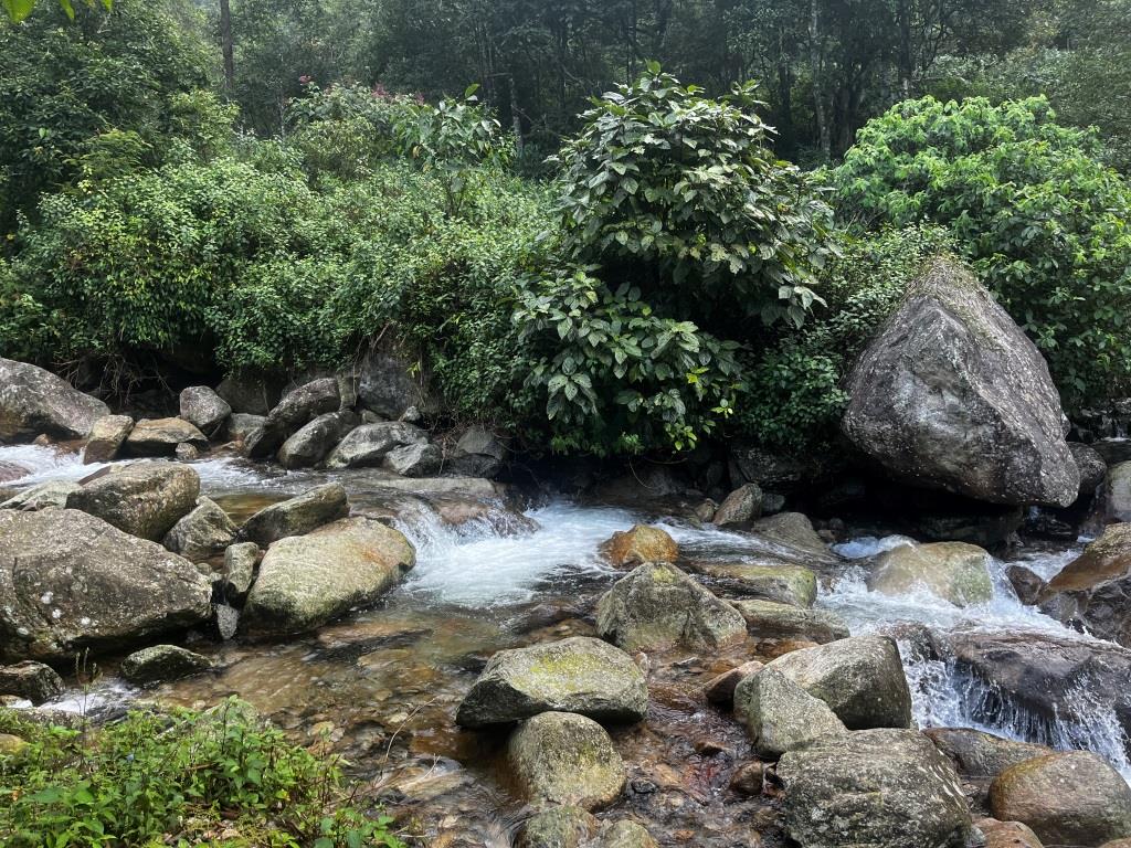 Ta Leng piscine naturelle en jungle - RELAXATION- 1 journée 